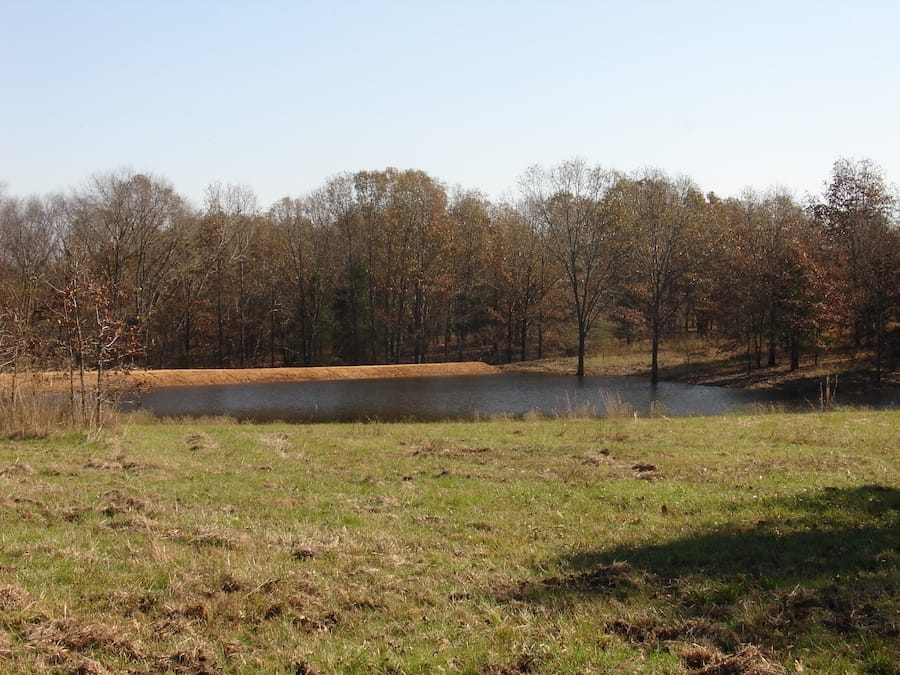 Tranquility Farms Tract 9 photo 7