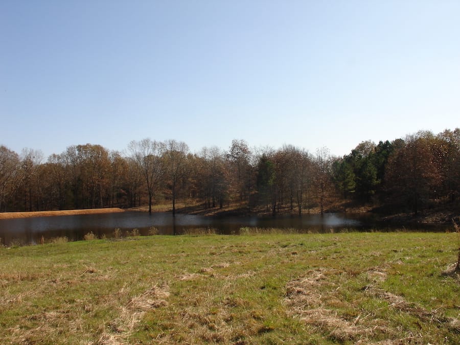 Tranquility Farms Tract 9 photo 8