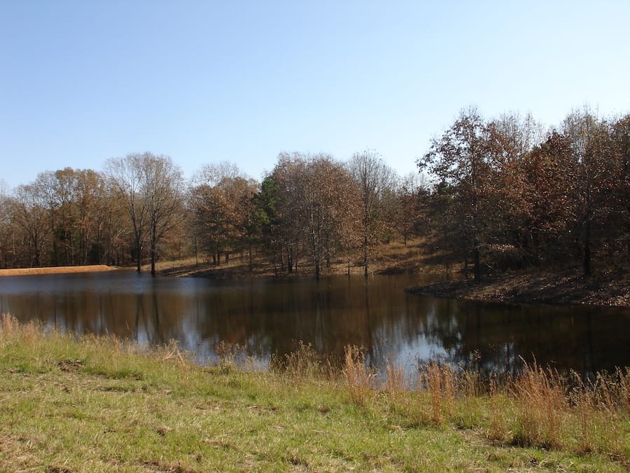 Tranquility Farms Tract 9 photo 9