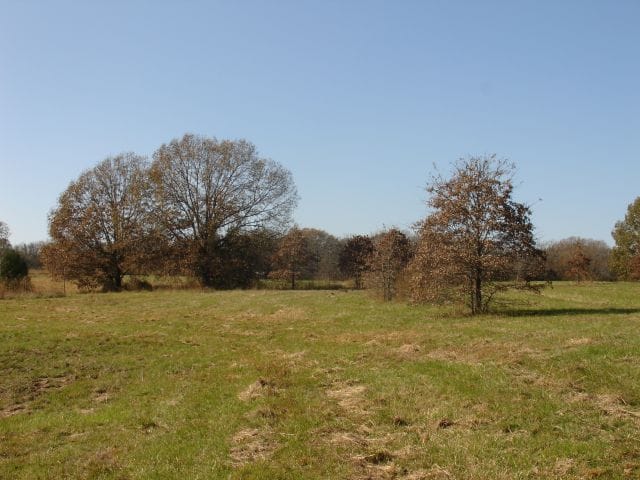 Tranquility Farms Tract 9 photo 10
