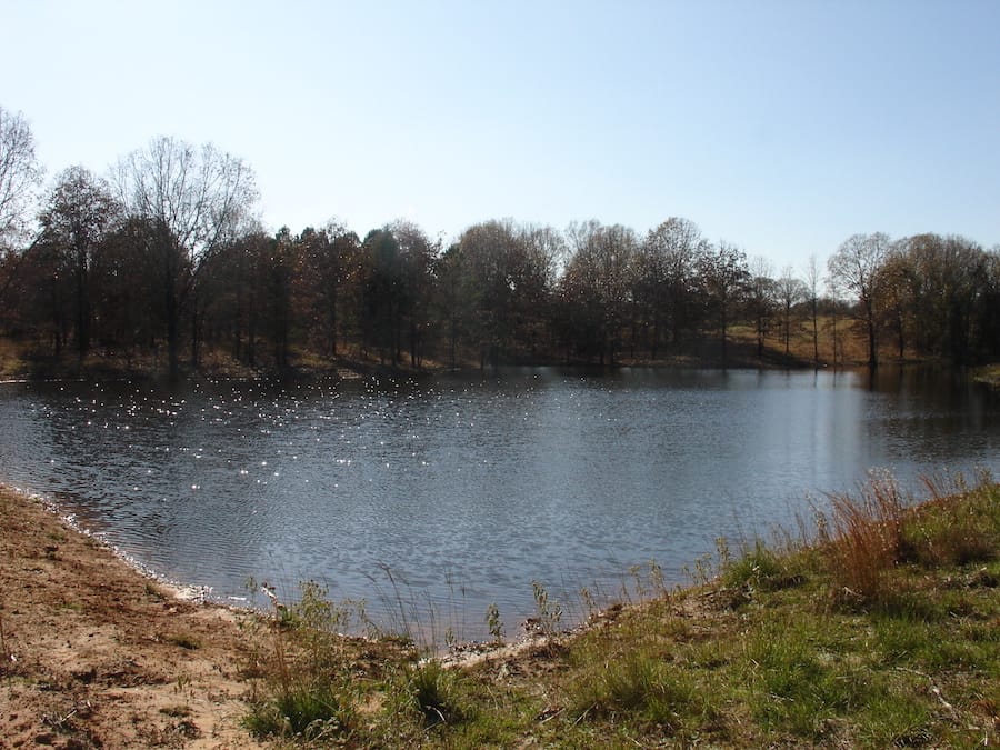 Tranquility Farms Tract 9 photo 11