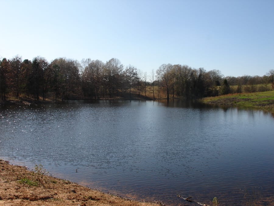 Tranquility Farms Tract 9 photo 12