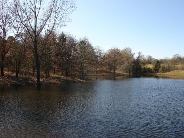 Tranquility Farms Tract 9 photo 15