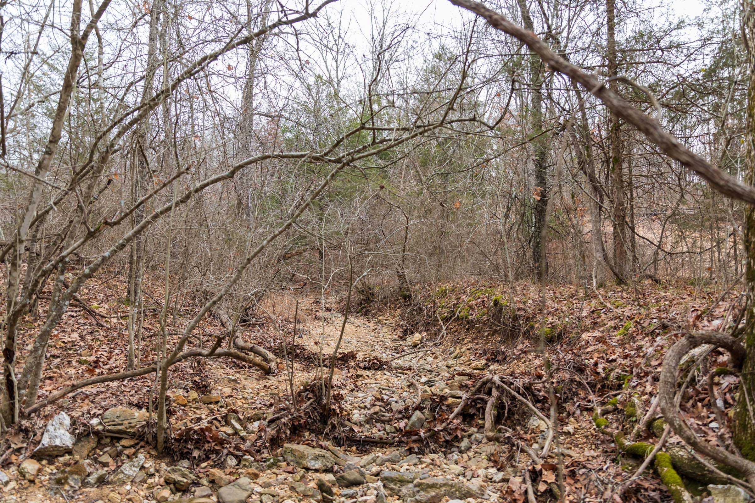 Crossroads Tract 5 photo 2