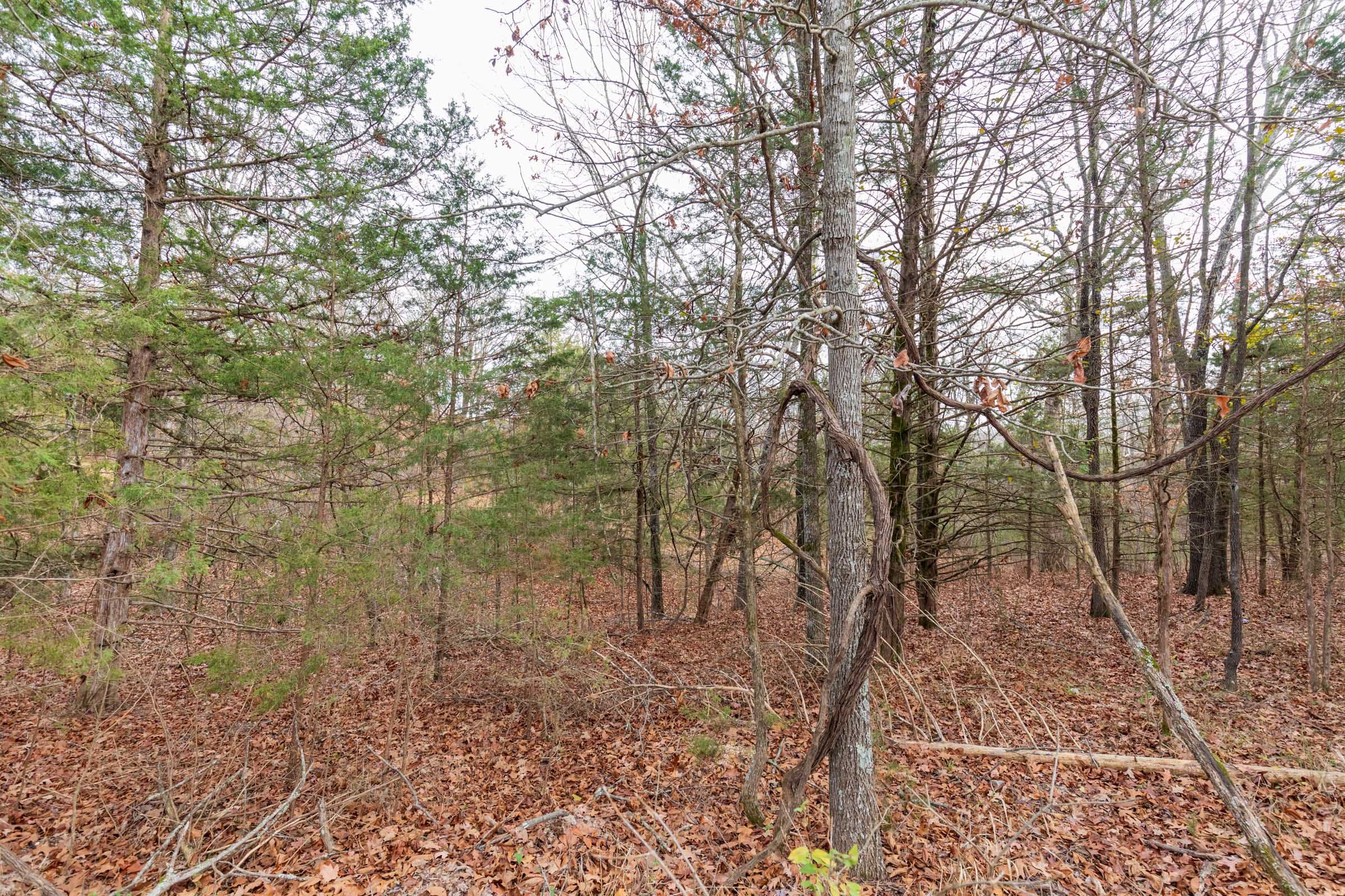 Crossroads Tract 5 photo 3