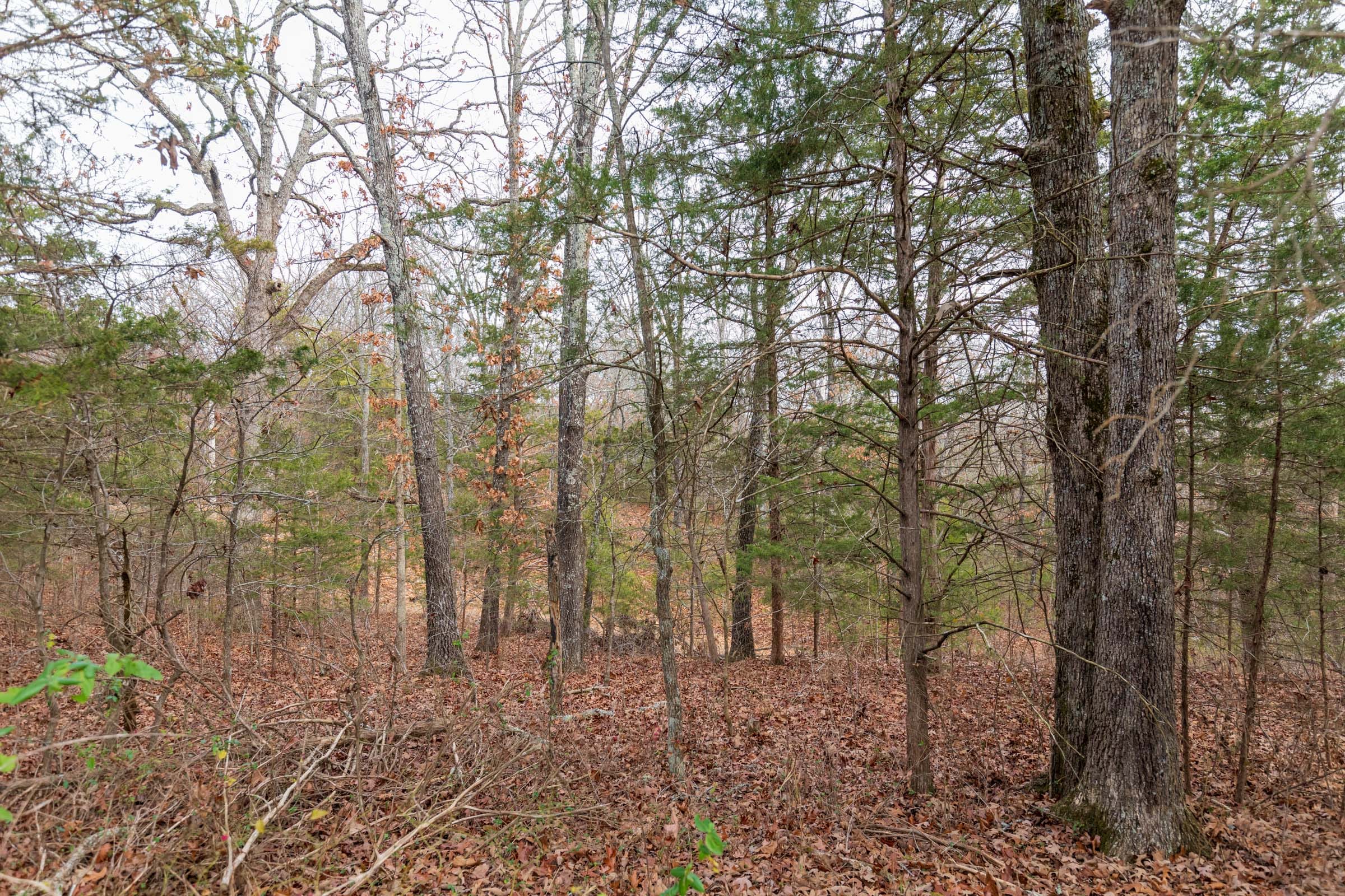 Crossroads Tract 5 photo 4