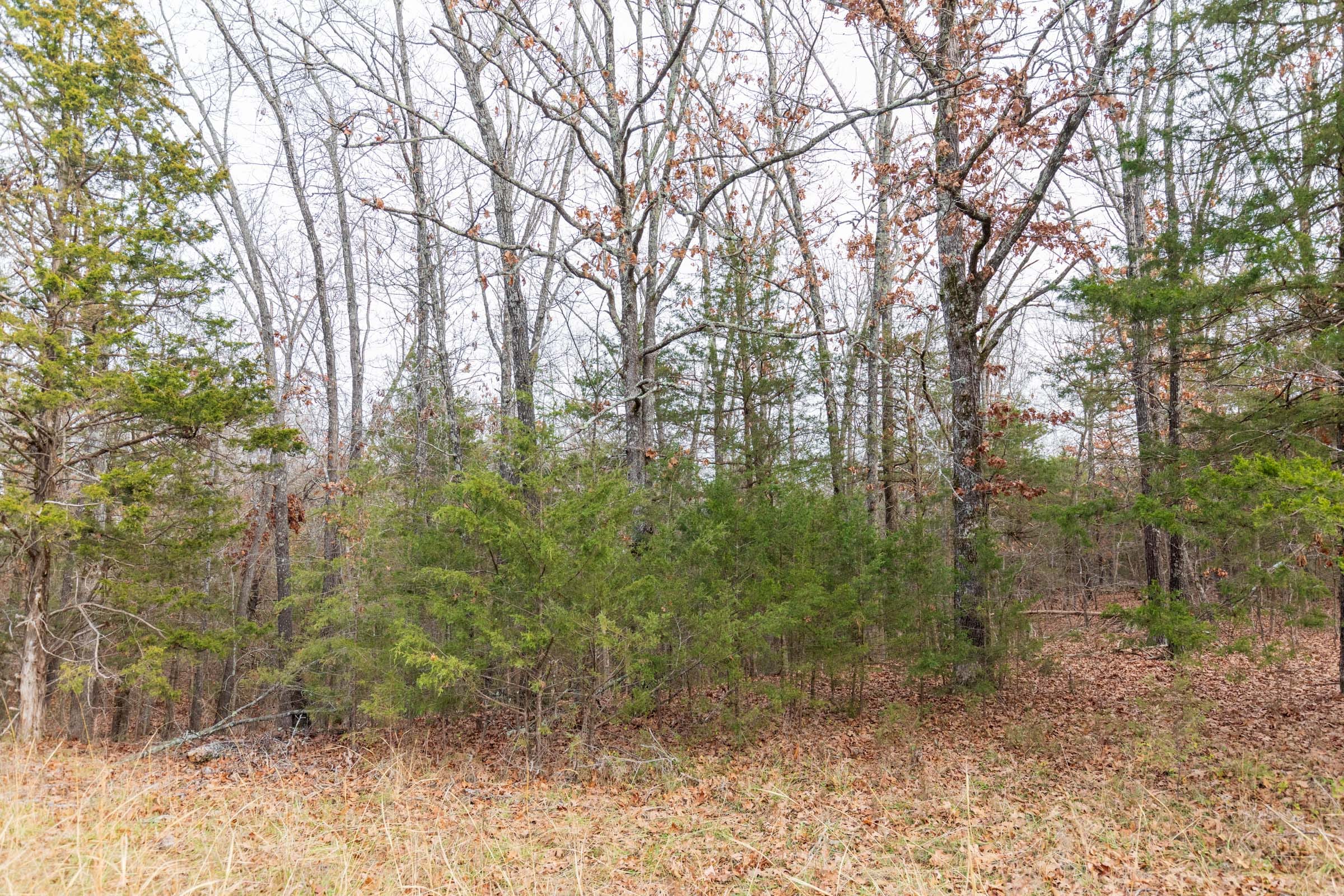 Crossroads Tract 5 photo 6
