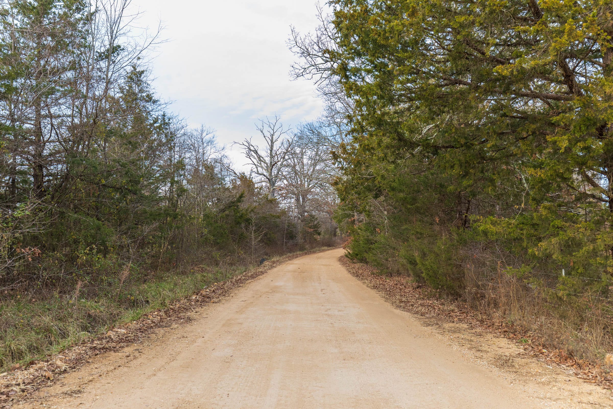 Crossroads Tract 5 photo 5