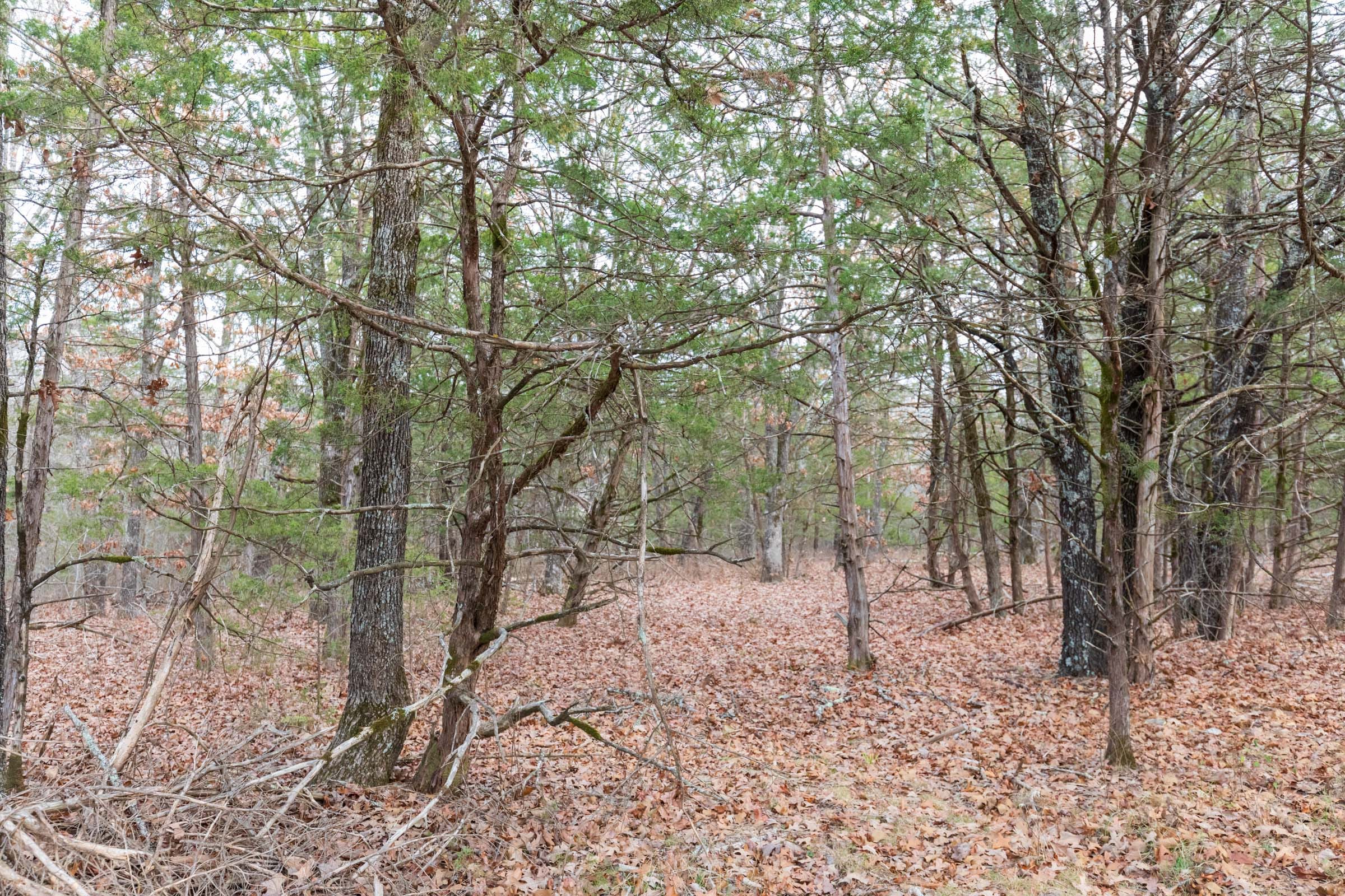Crossroads Tract 5 photo 8