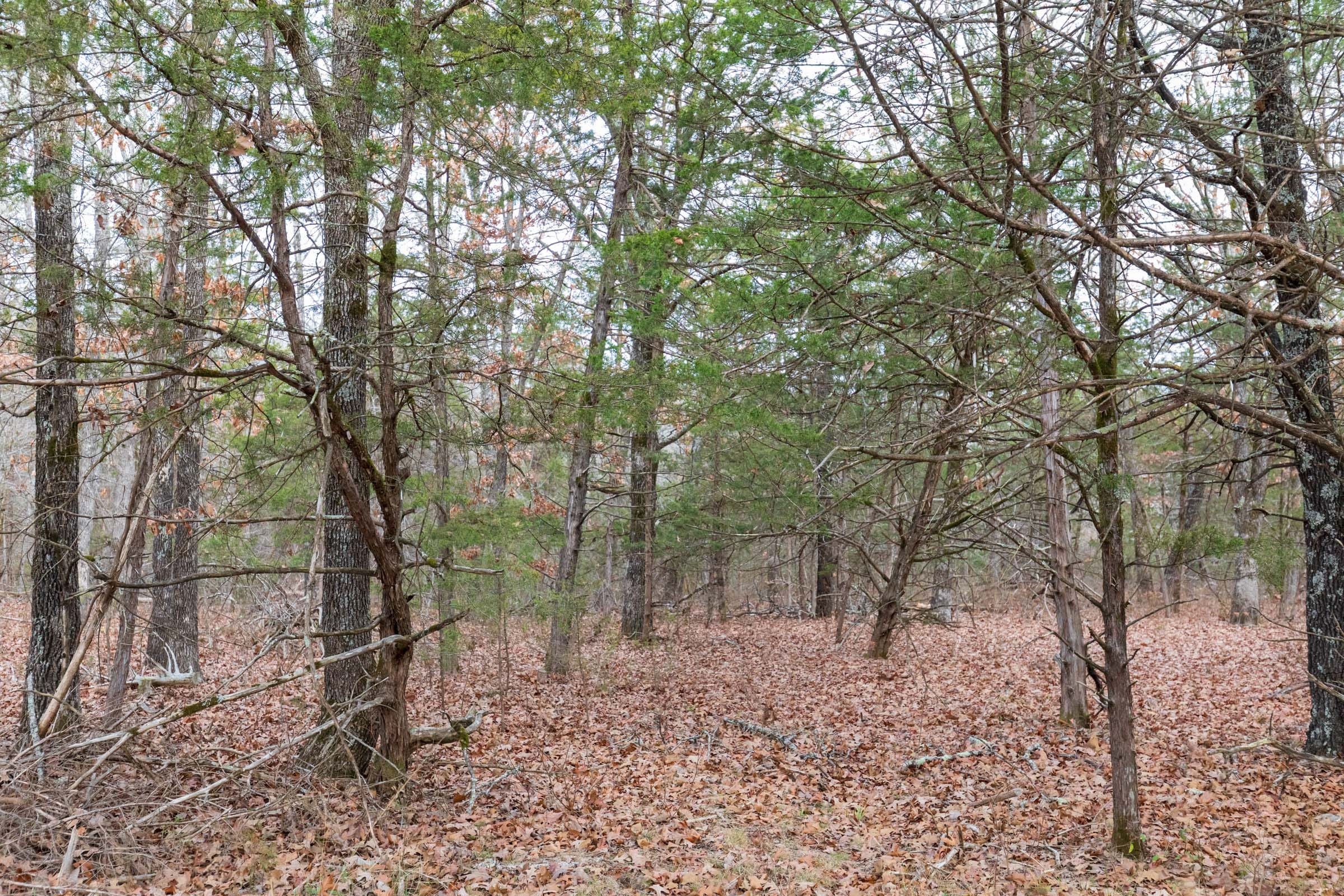 Crossroads Tract 5 photo 10