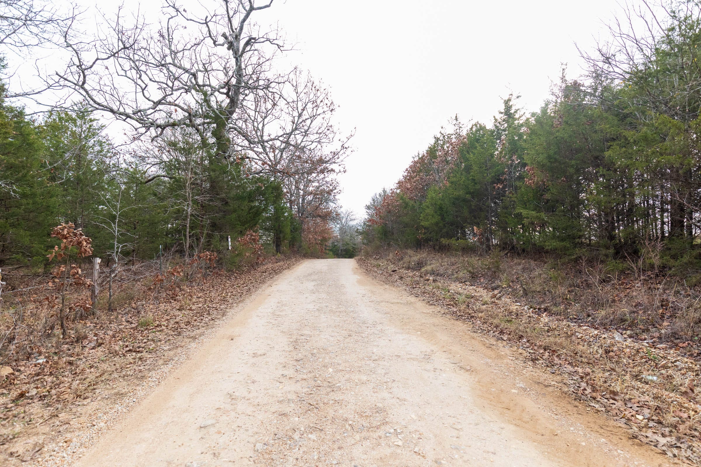Crossroads Tract 5 photo 9