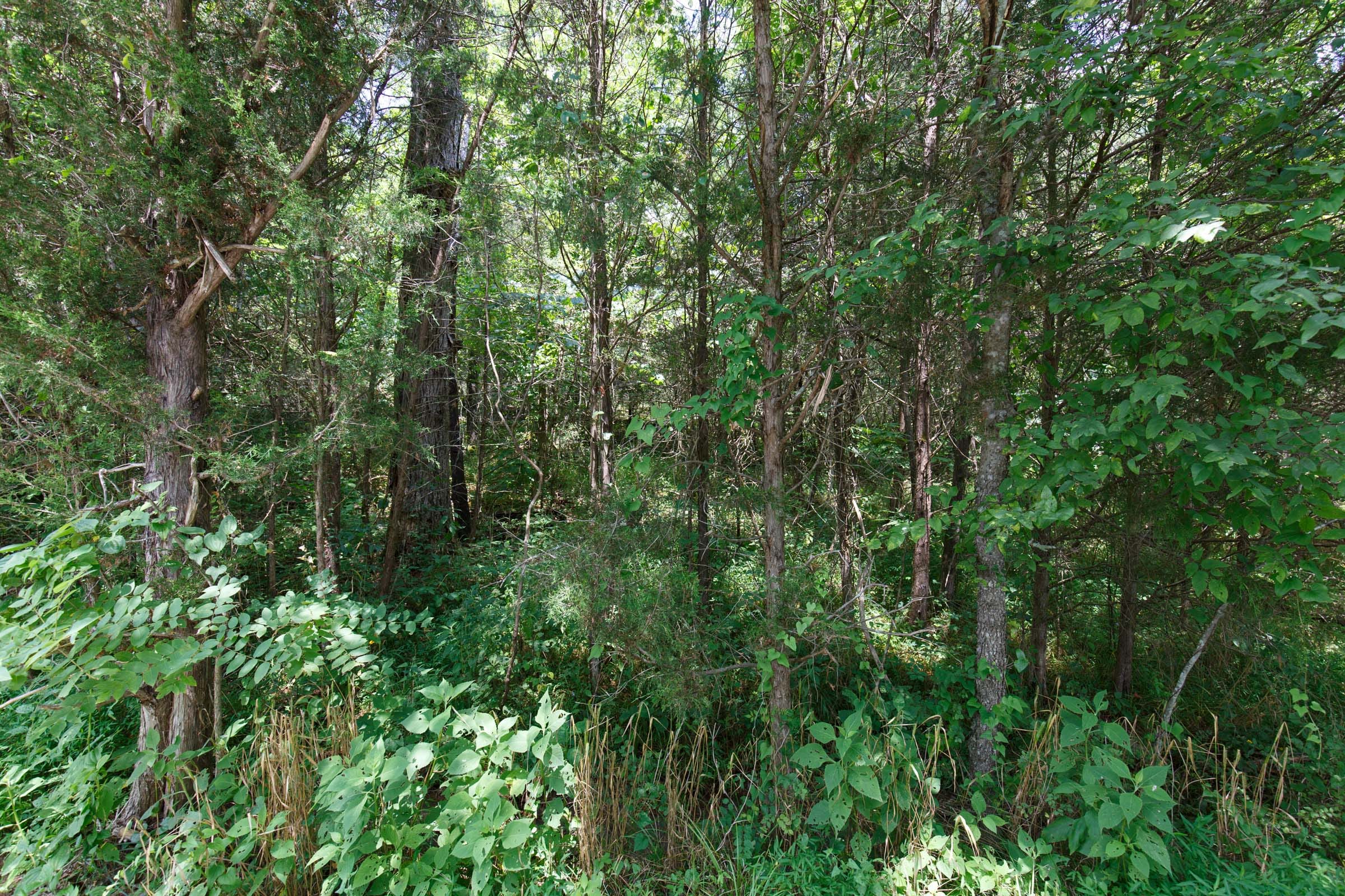 Rolling Hills Tract 5 photo 4