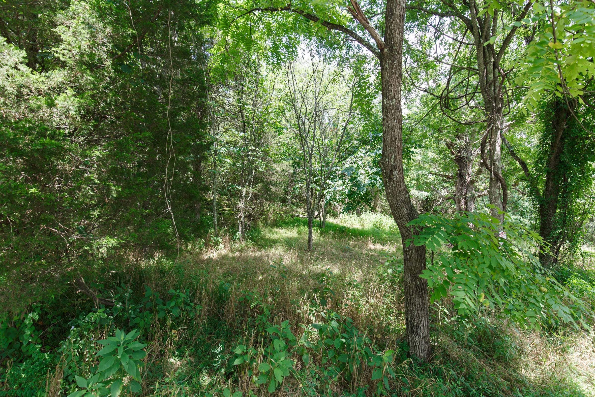 Rolling Hills Tract 5 photo 6