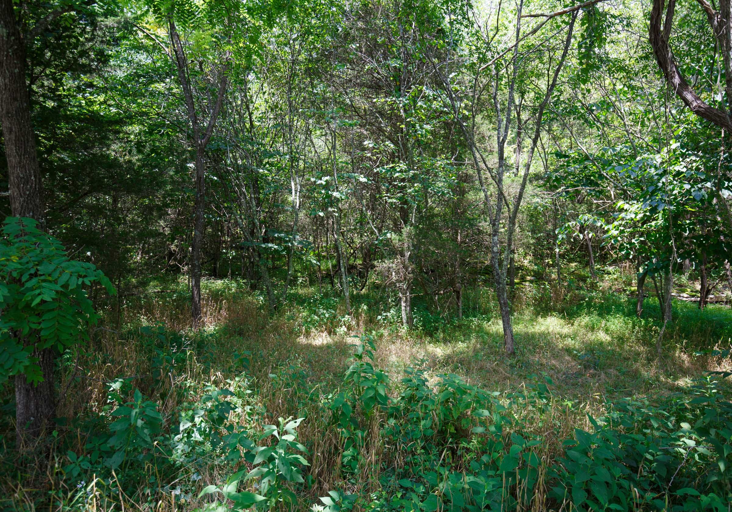 Rolling Hills Tract 5 photo 7