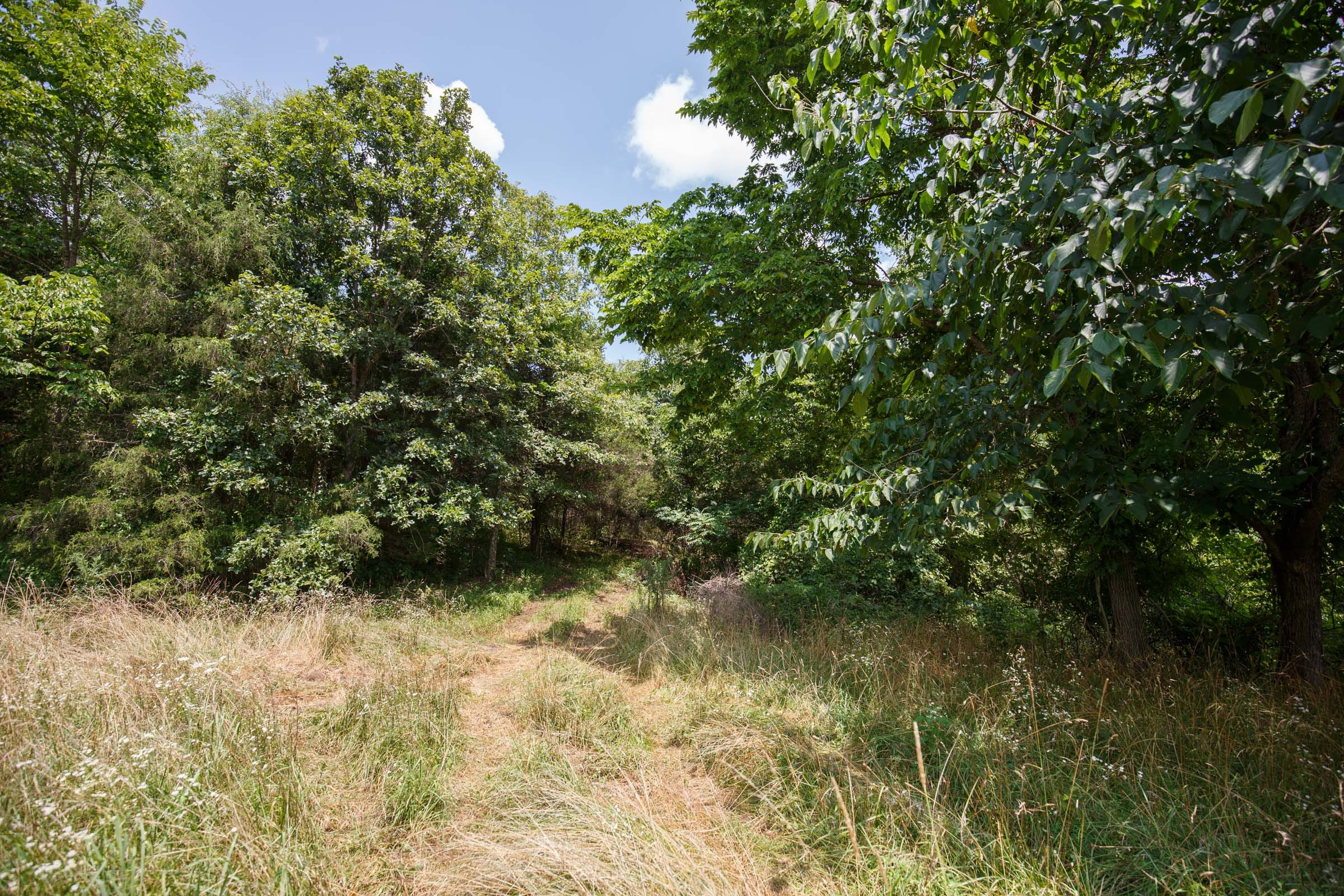 Rolling Hills Tract 5 photo 10