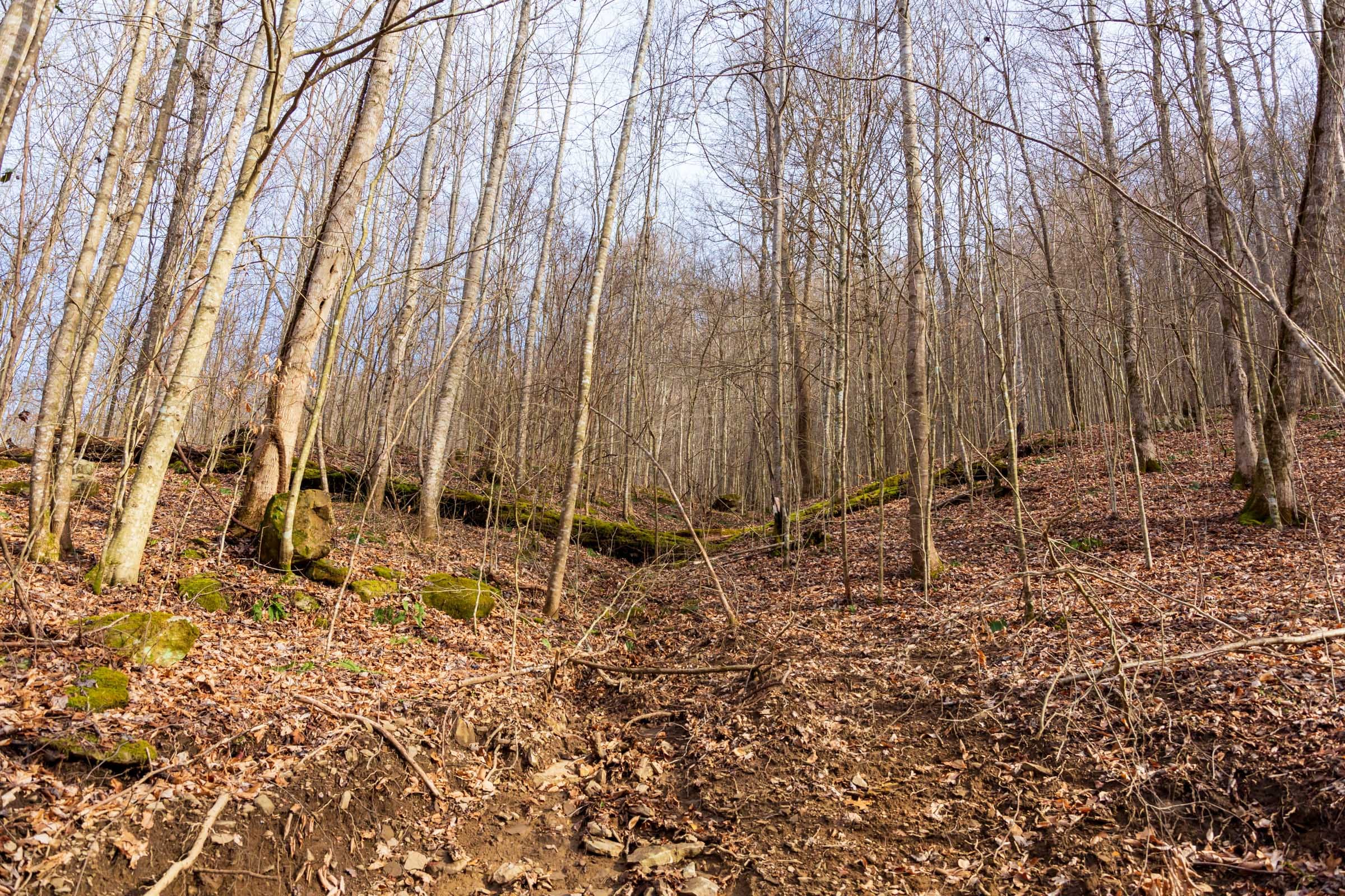 Blackstone Mountain Phase II Tract 56 photo 2