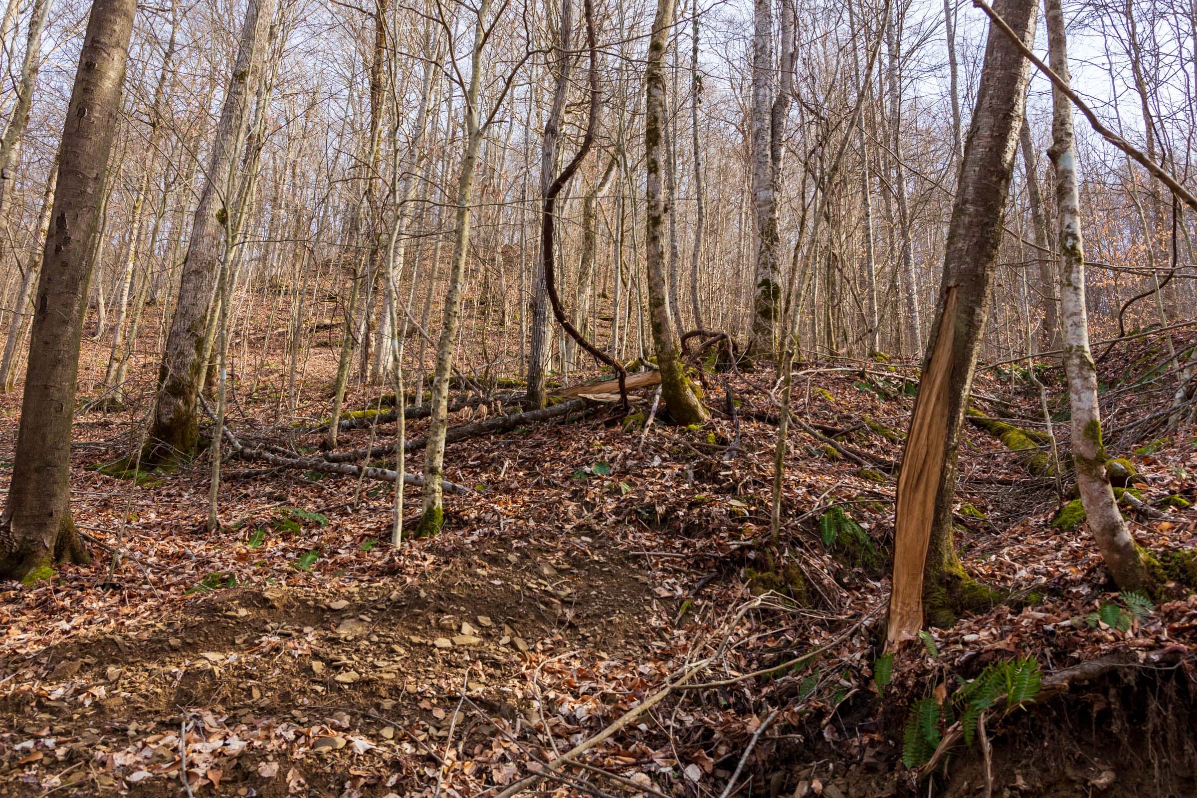 Blackstone Mountain Phase II Tract 56 photo 3