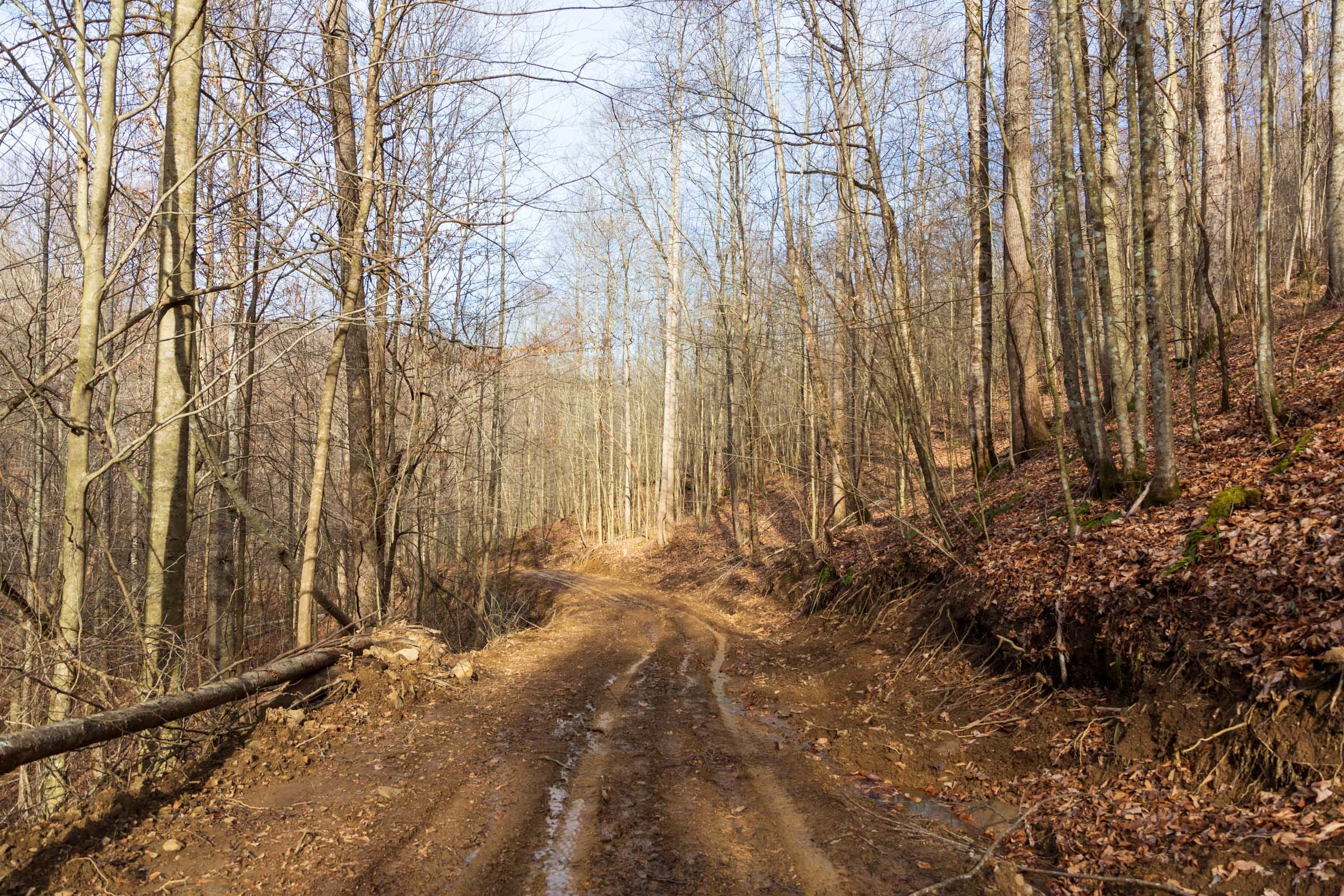 Blackstone Mountain Phase II Tract 56 photo 1