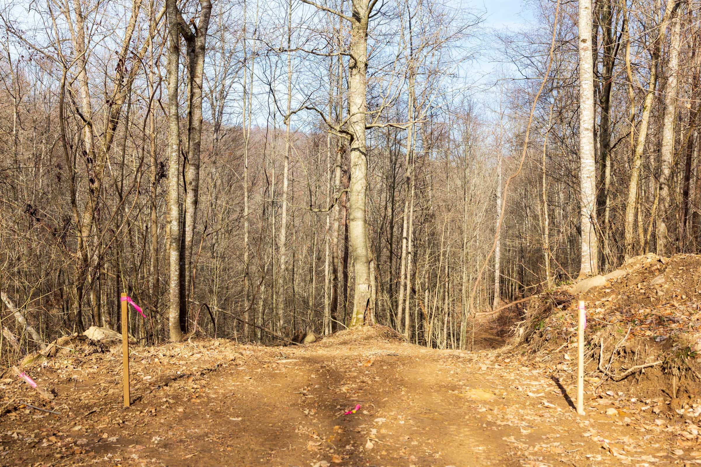 Blackstone Mountain Phase II Tract 56 photo 6