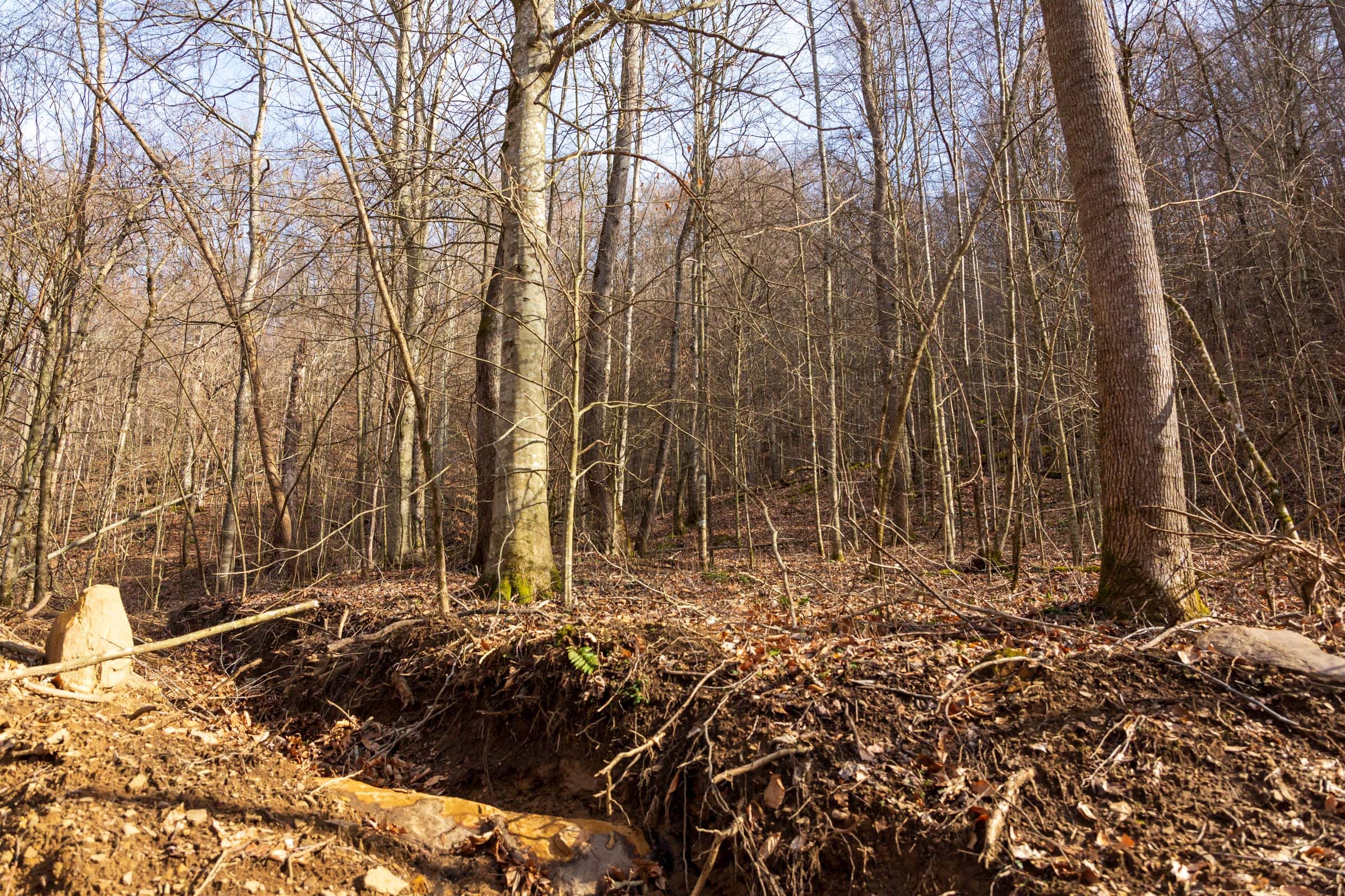 Blackstone Mountain Phase II Tract 56 photo 5