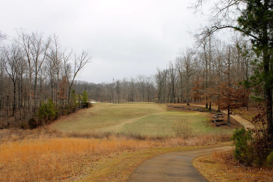 The Tennessean Tract 40 photo 3