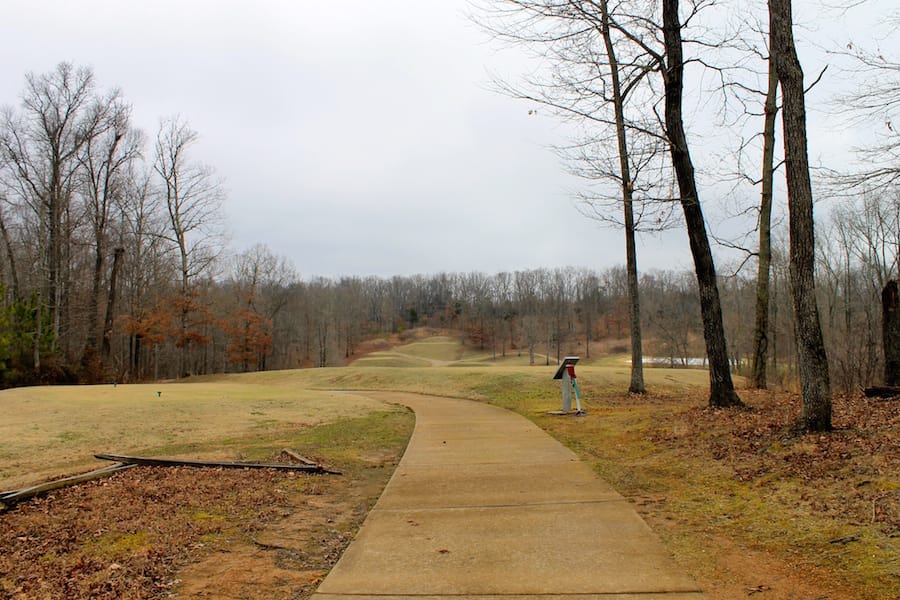 The Tennessean Tract 40 photo 4