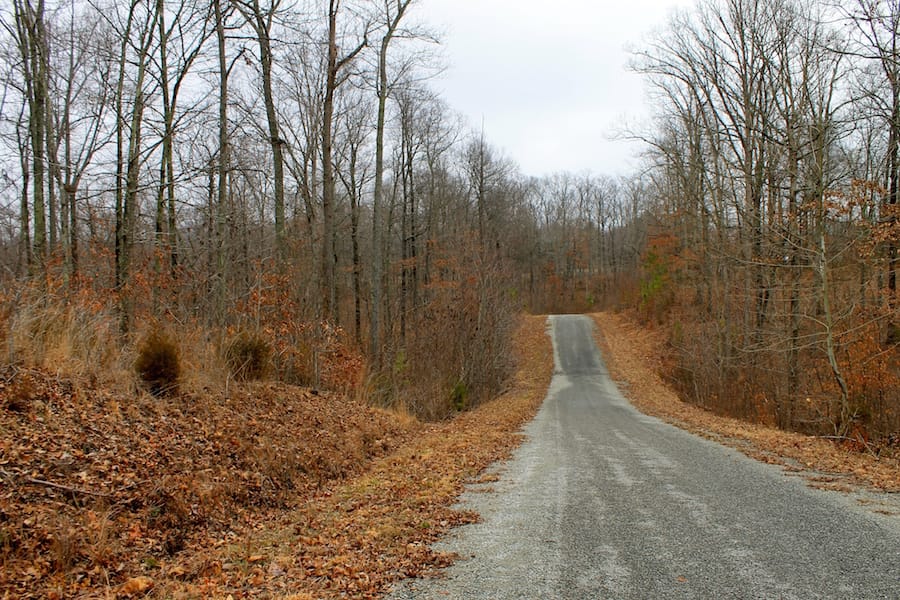 The Tennessean Tract 40 photo 6