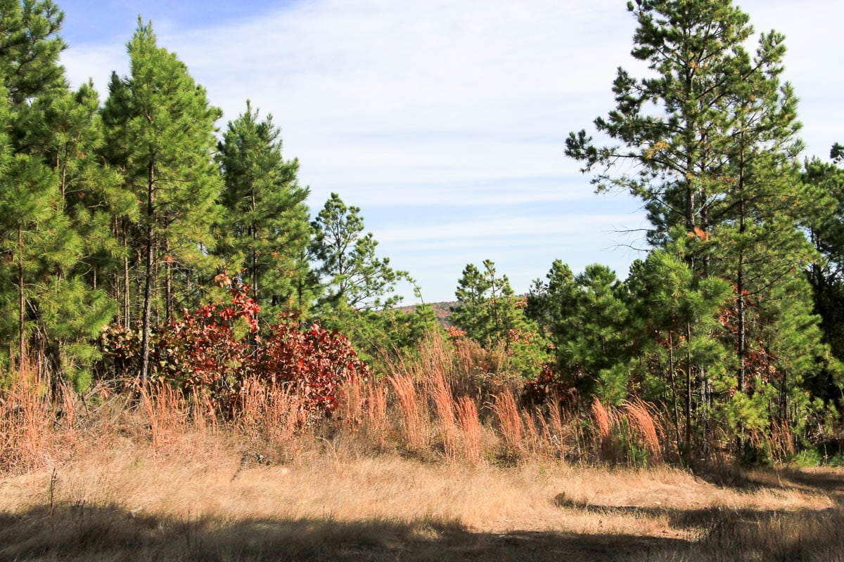 Stone Creek Phase III Tract 26 photo 2