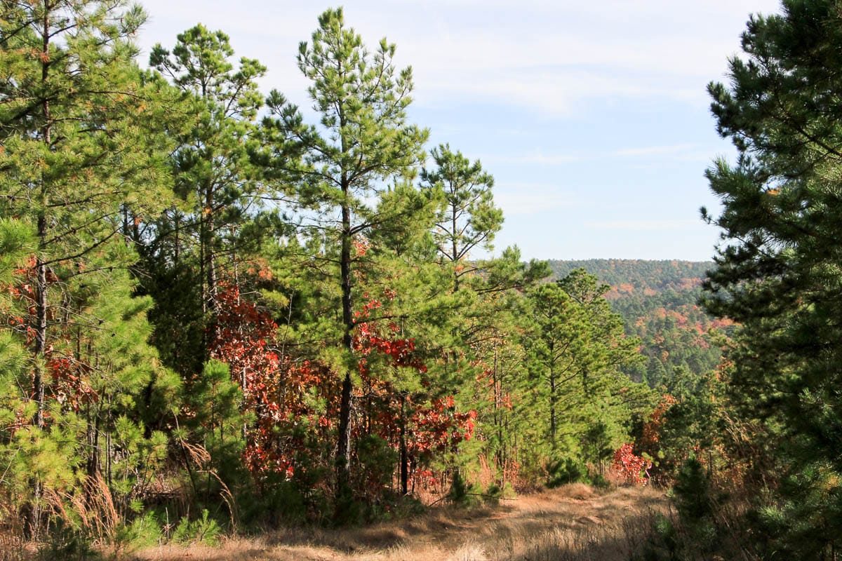 Stone Creek Phase III Tract 26 photo 3