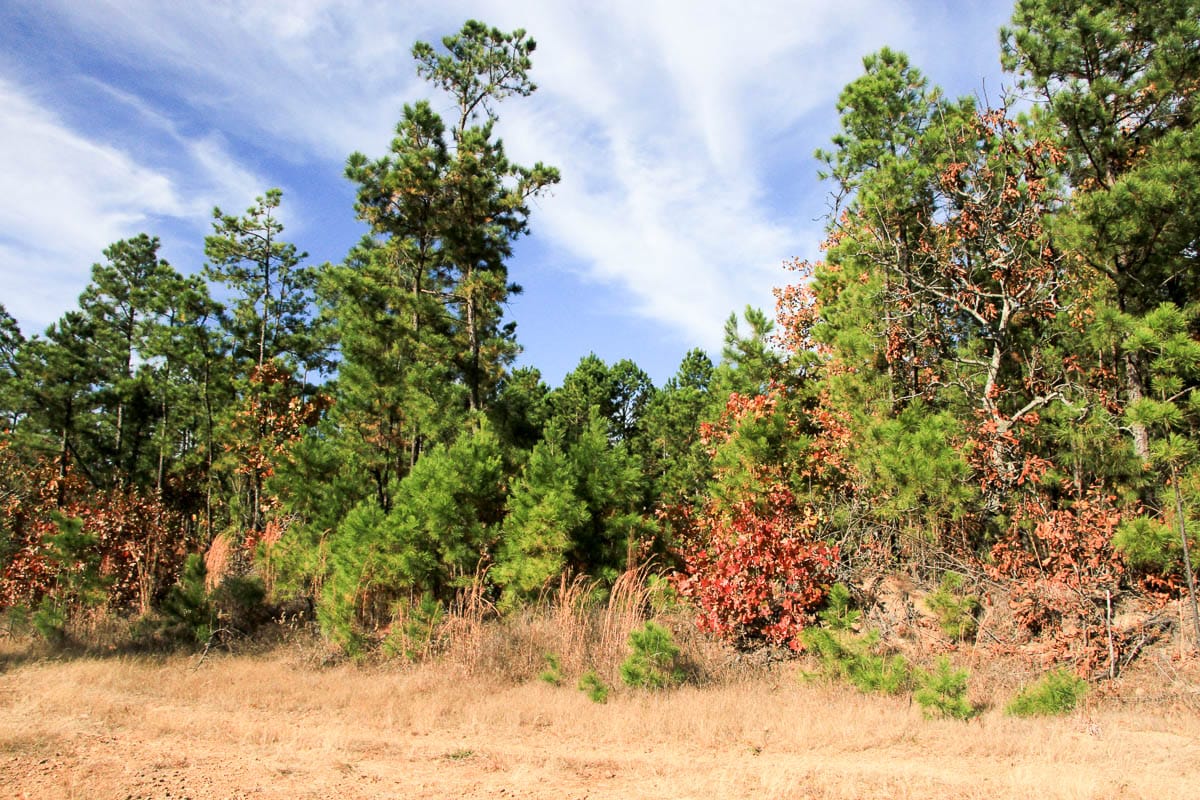 Stone Creek Phase III Tract 26 photo 5