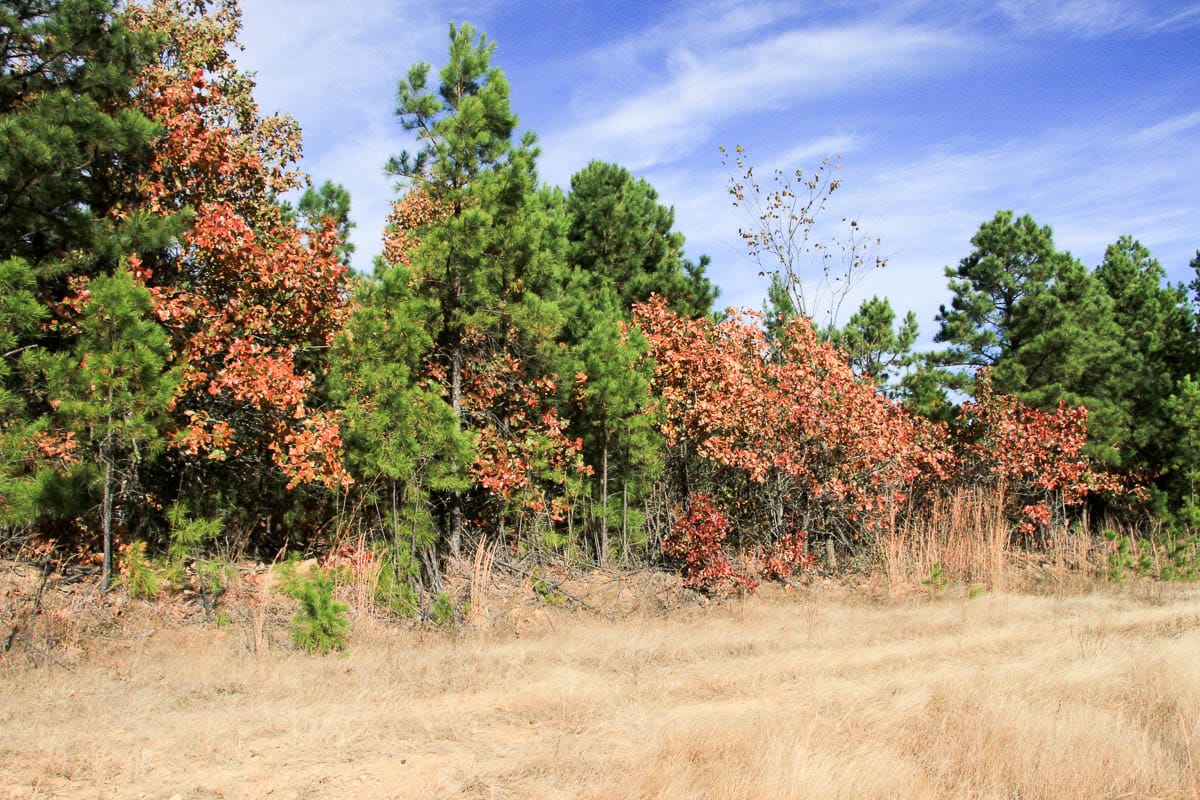 Stone Creek Phase III Tract 26 photo 6
