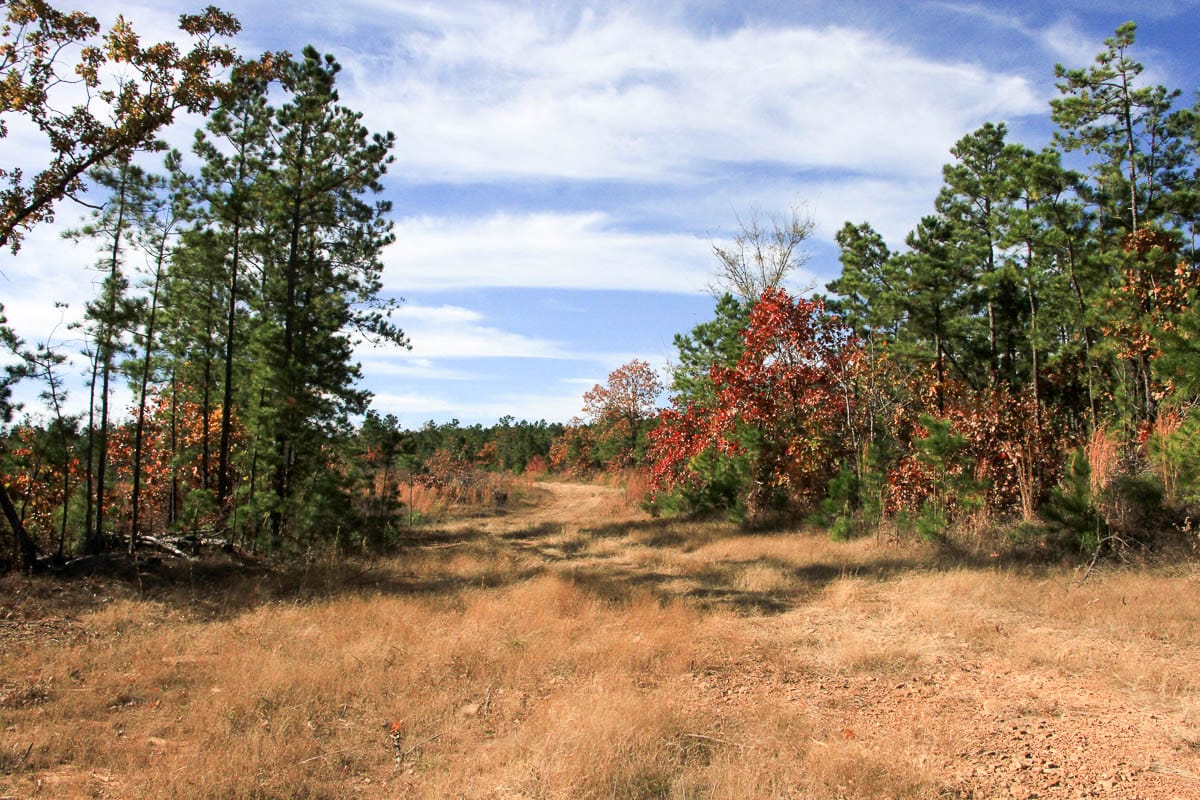 Stone Creek Phase III Tract 26 photo 7