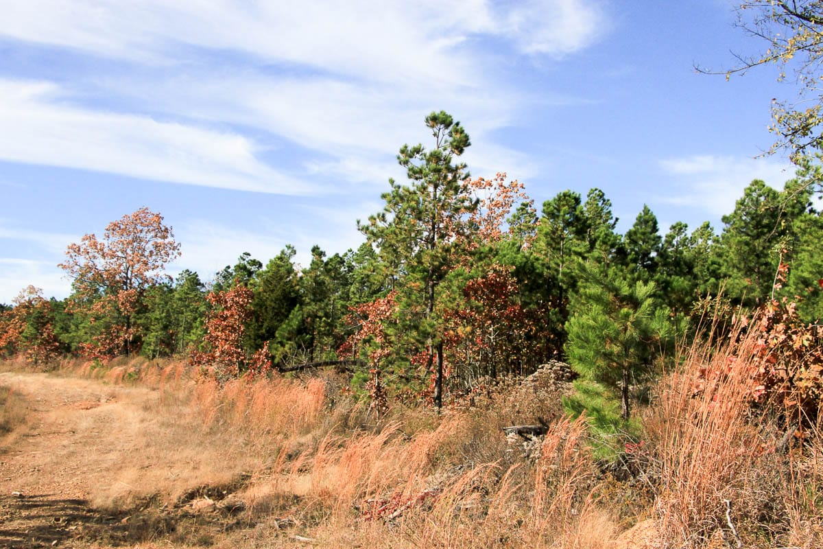 Stone Creek Phase III Tract 26 photo 8