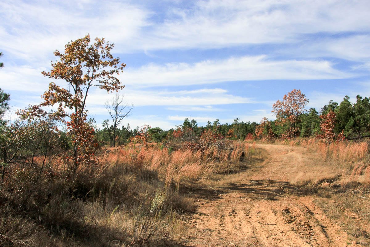 Stone Creek Phase III Tract 26 photo 9