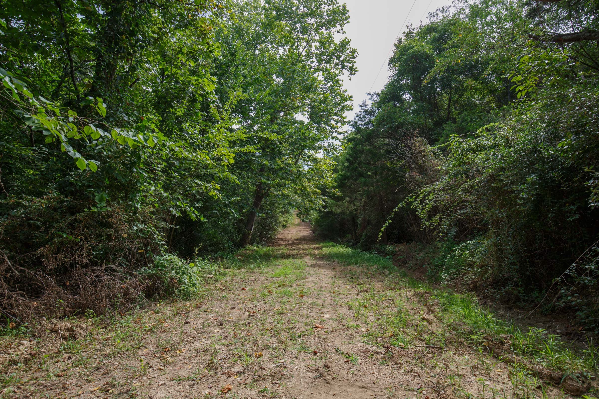 Spring Lake Plat 6 Tract 28 photo 1