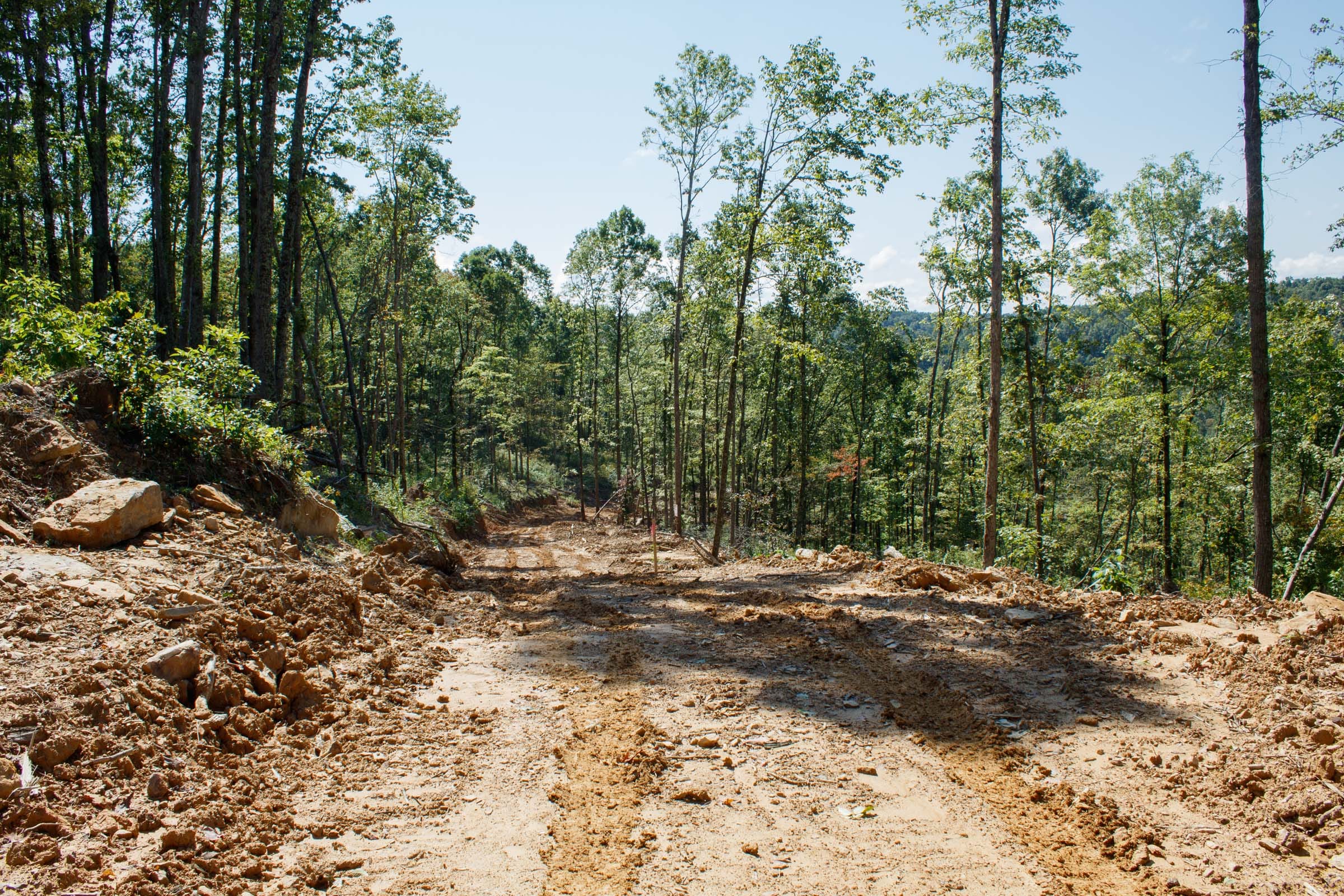 Wounded Oak Tract 3 photo 1