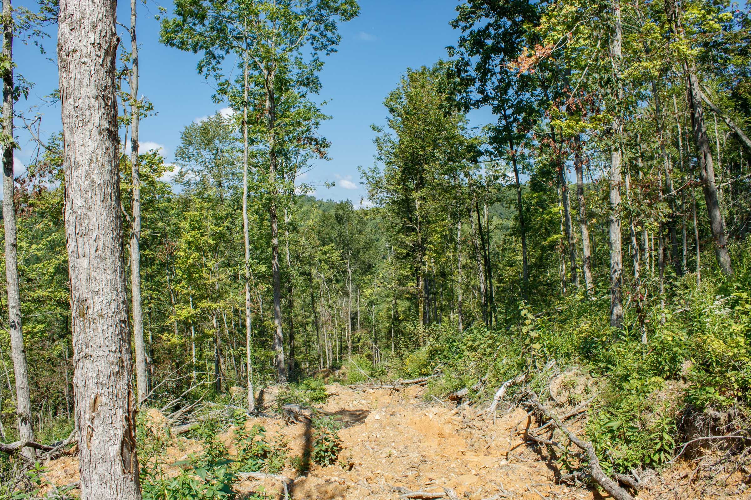 Wounded Oak Tract 3 photo 9