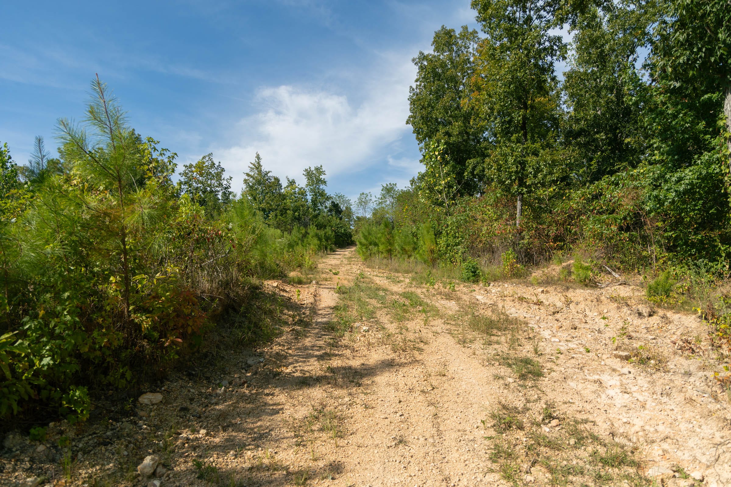 Big White Oak Tract 43 photo 2