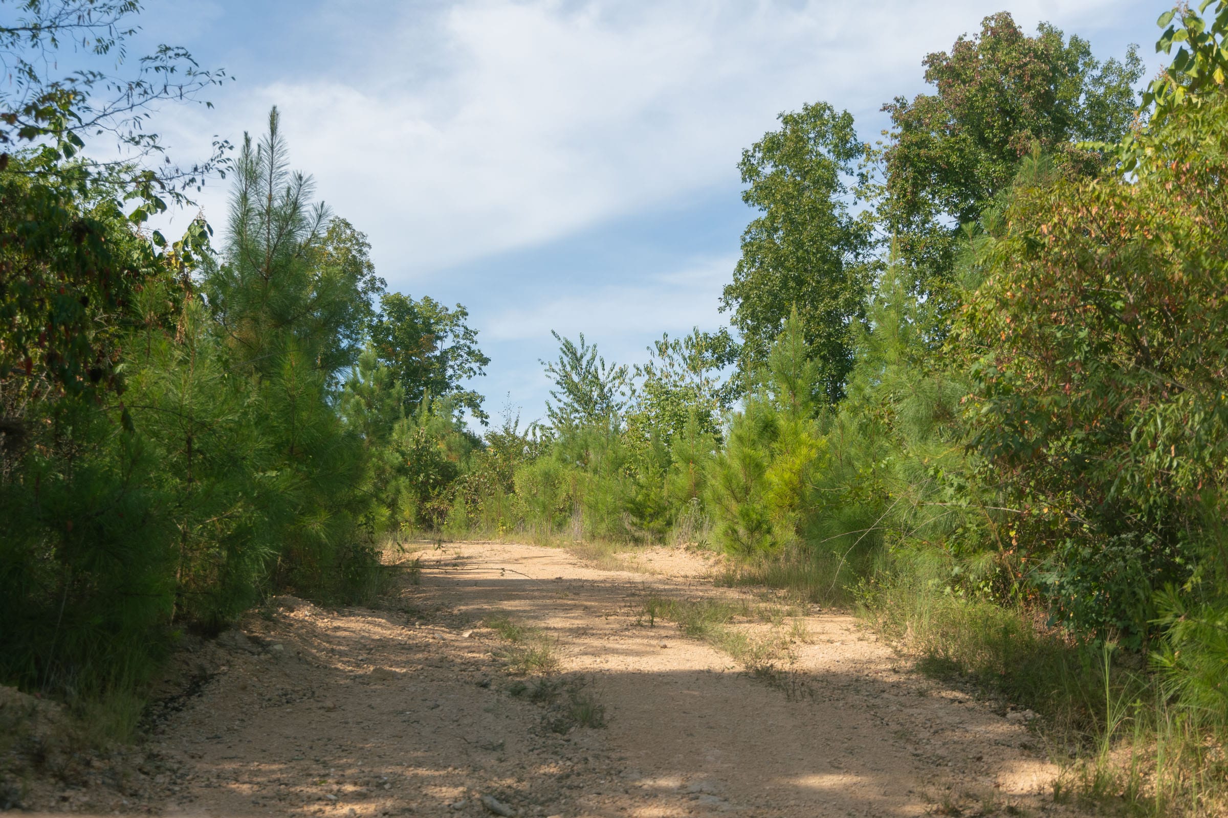 Big White Oak Tract 43 photo 1