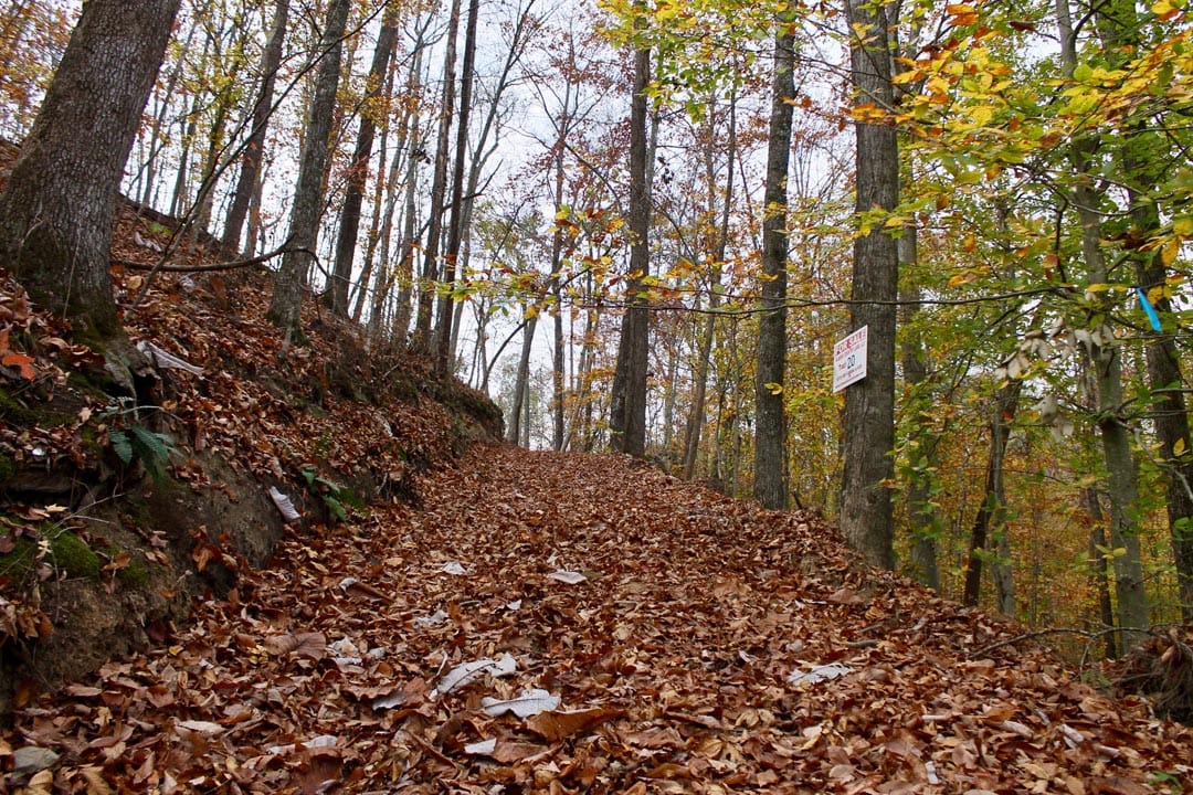 Autumn Ridge Tract 20 photo 2