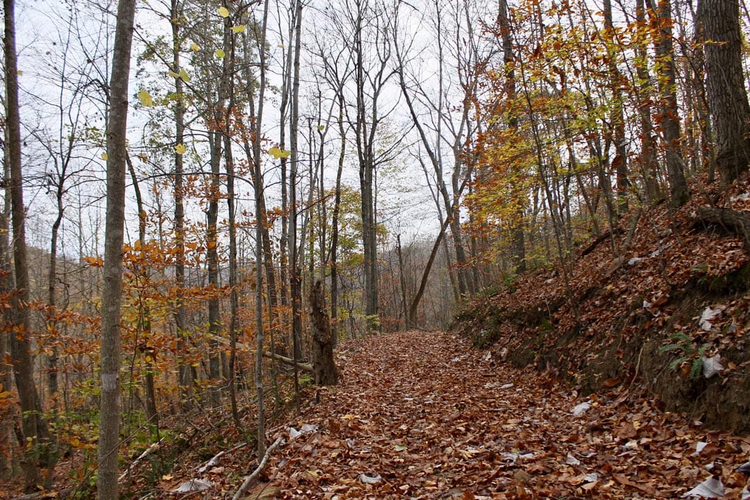 Autumn Ridge Tract 20 photo 3