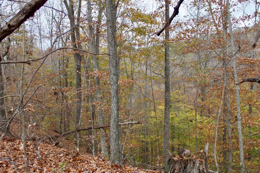 Autumn Ridge Tract 20 photo 11