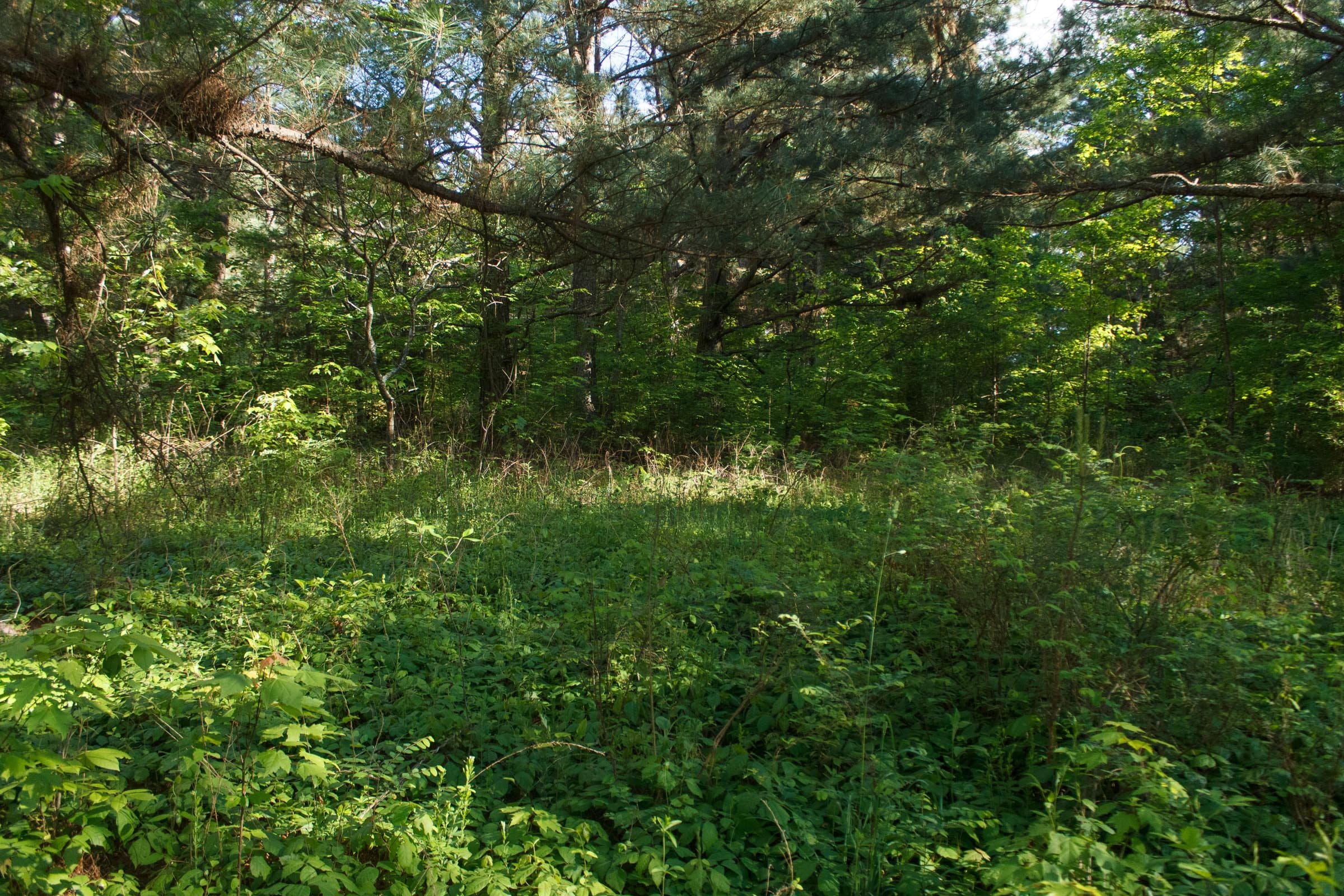 Riverbend Tract 25 photo 1