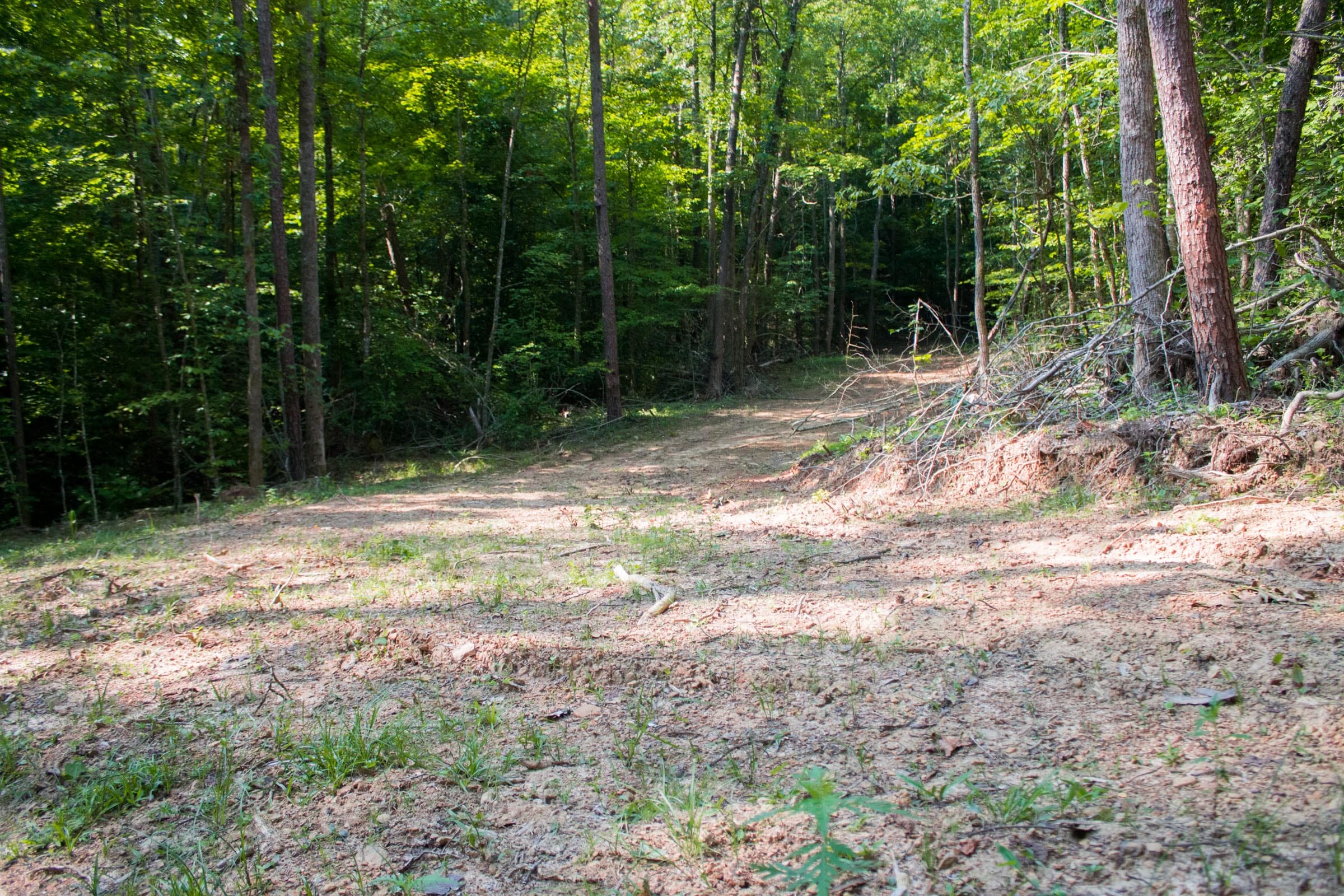 Bluewater Ridge Tract 24 photo 11