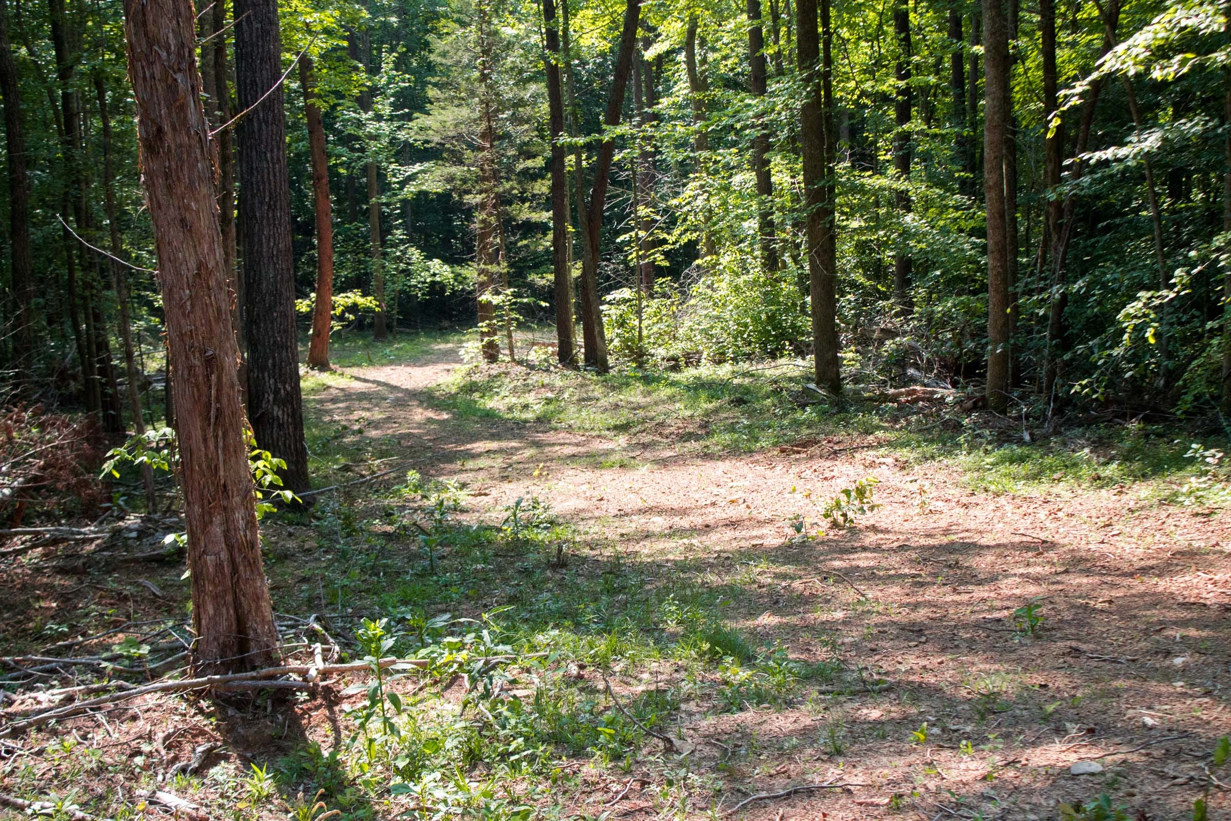 Bluewater Ridge Tract 24 photo 1
