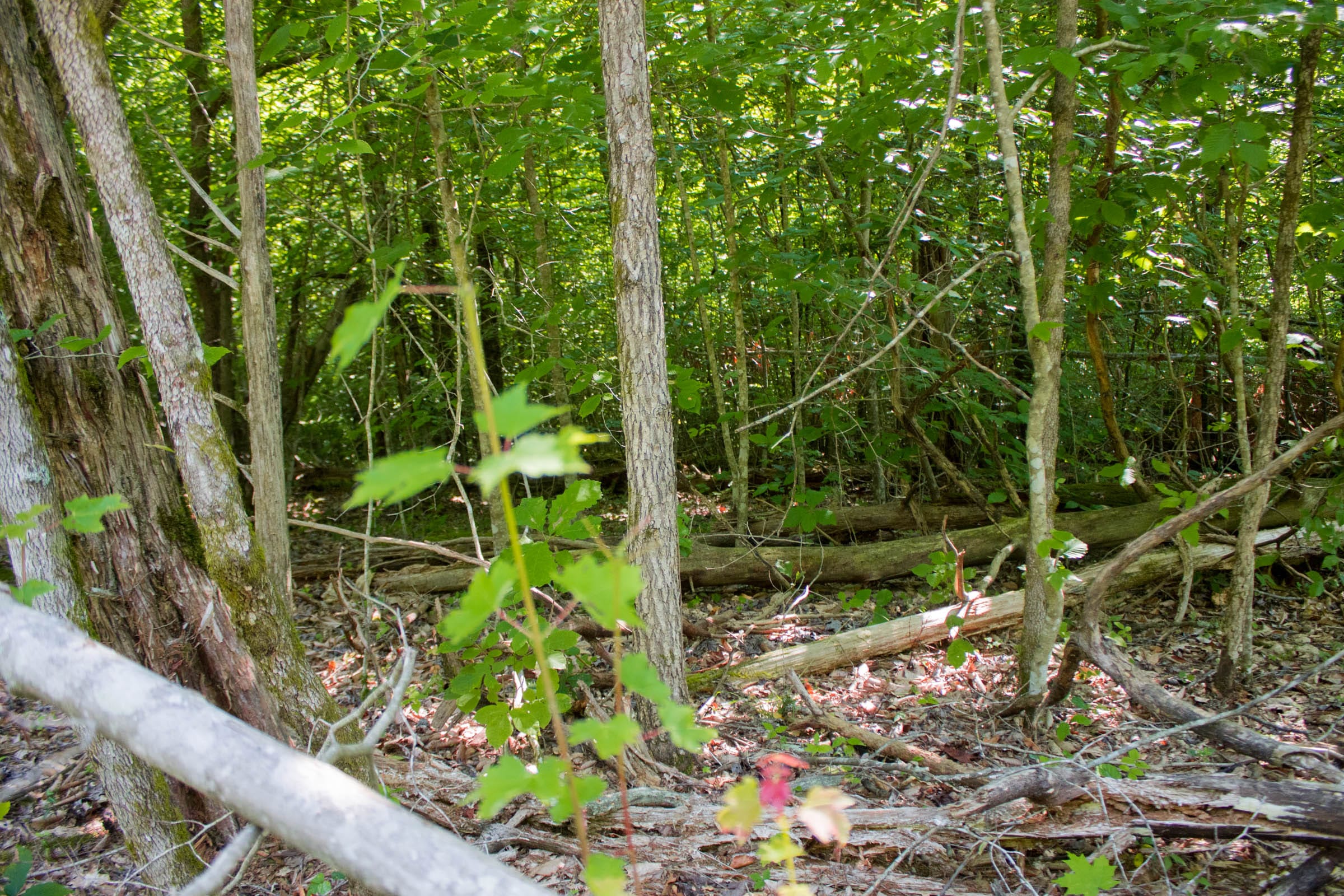 Bluewater Ridge Tract 24 photo 15