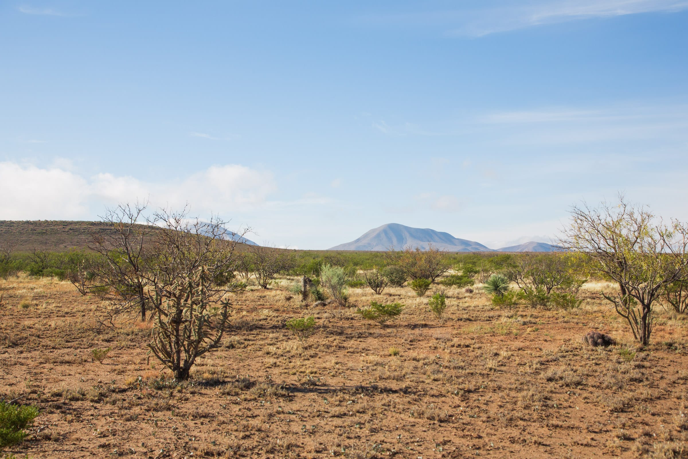 Sunset Ranches Tract 2 photo 7