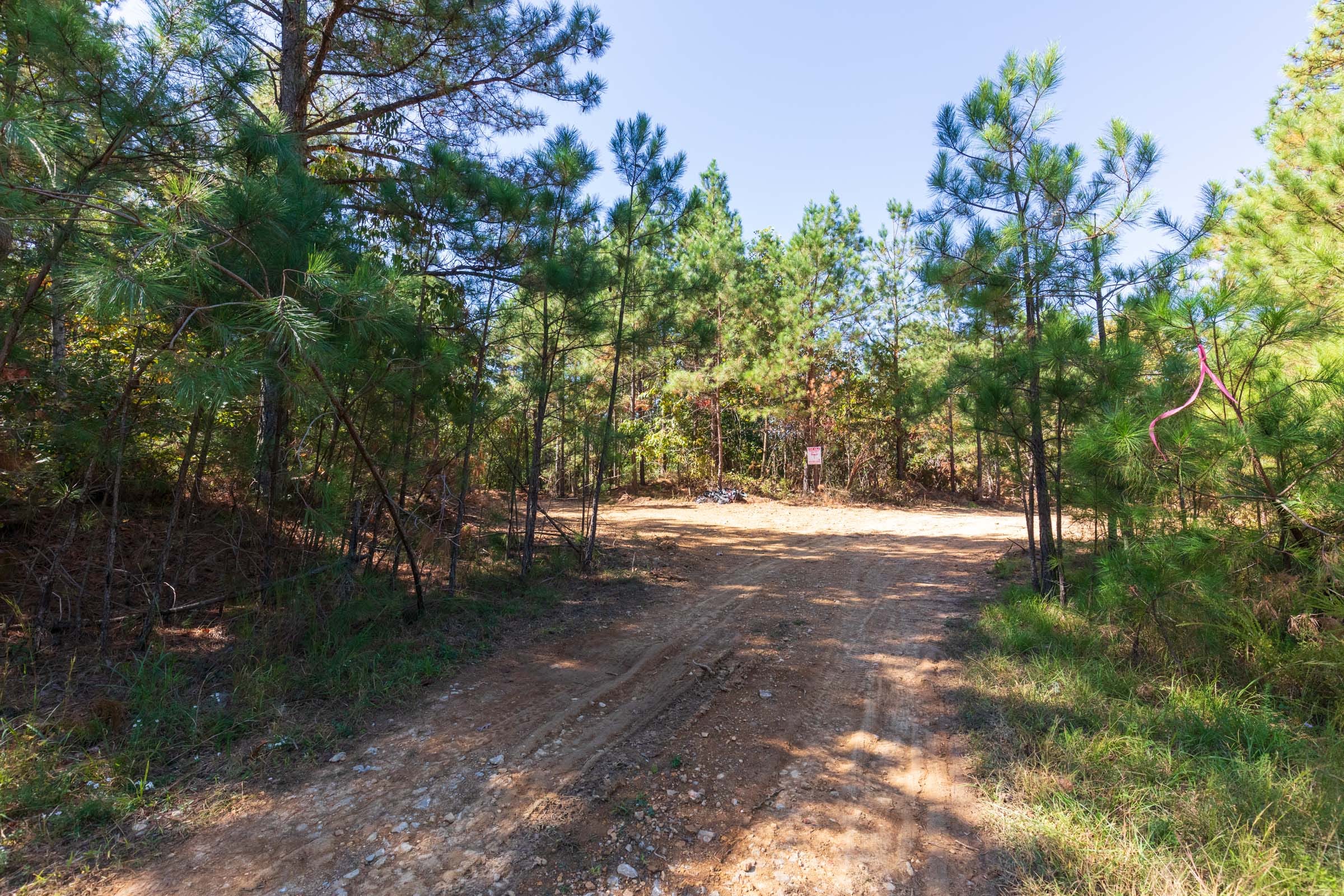 Bear Brook Tract 3 photo 9