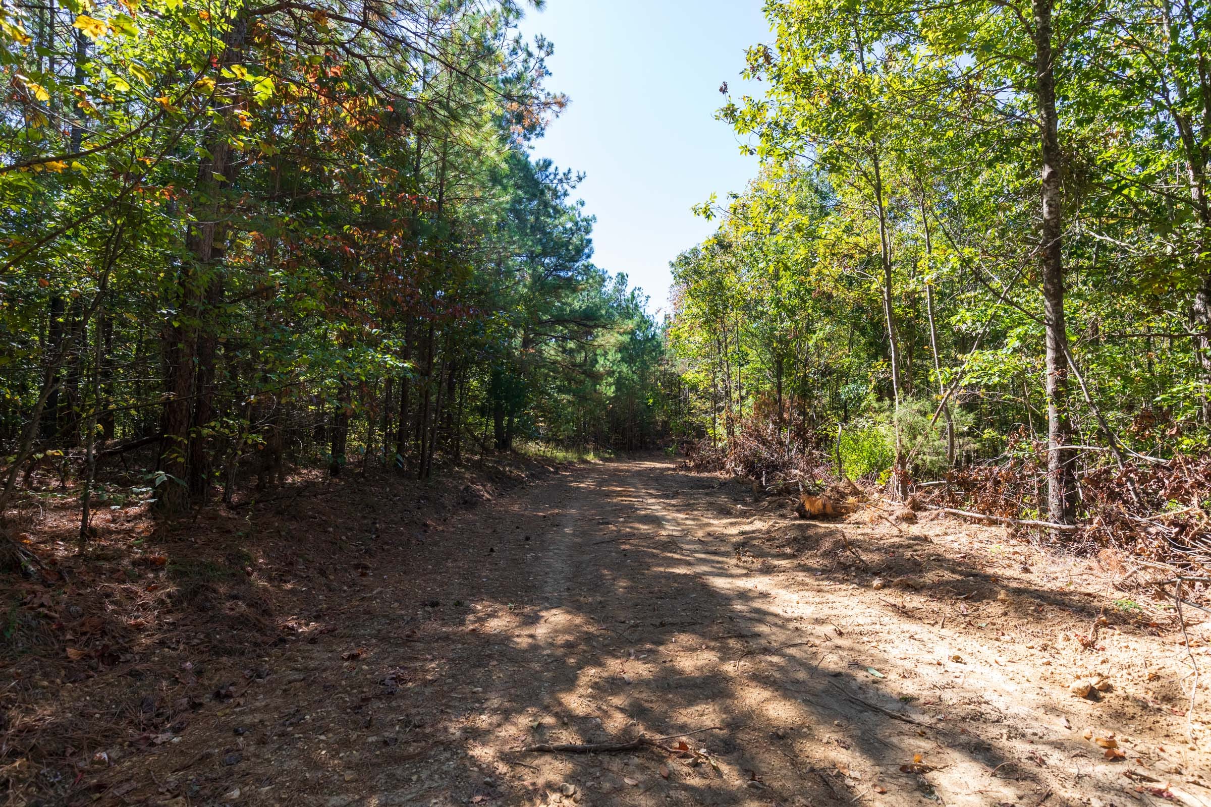 Bear Brook Tract 3 photo 3
