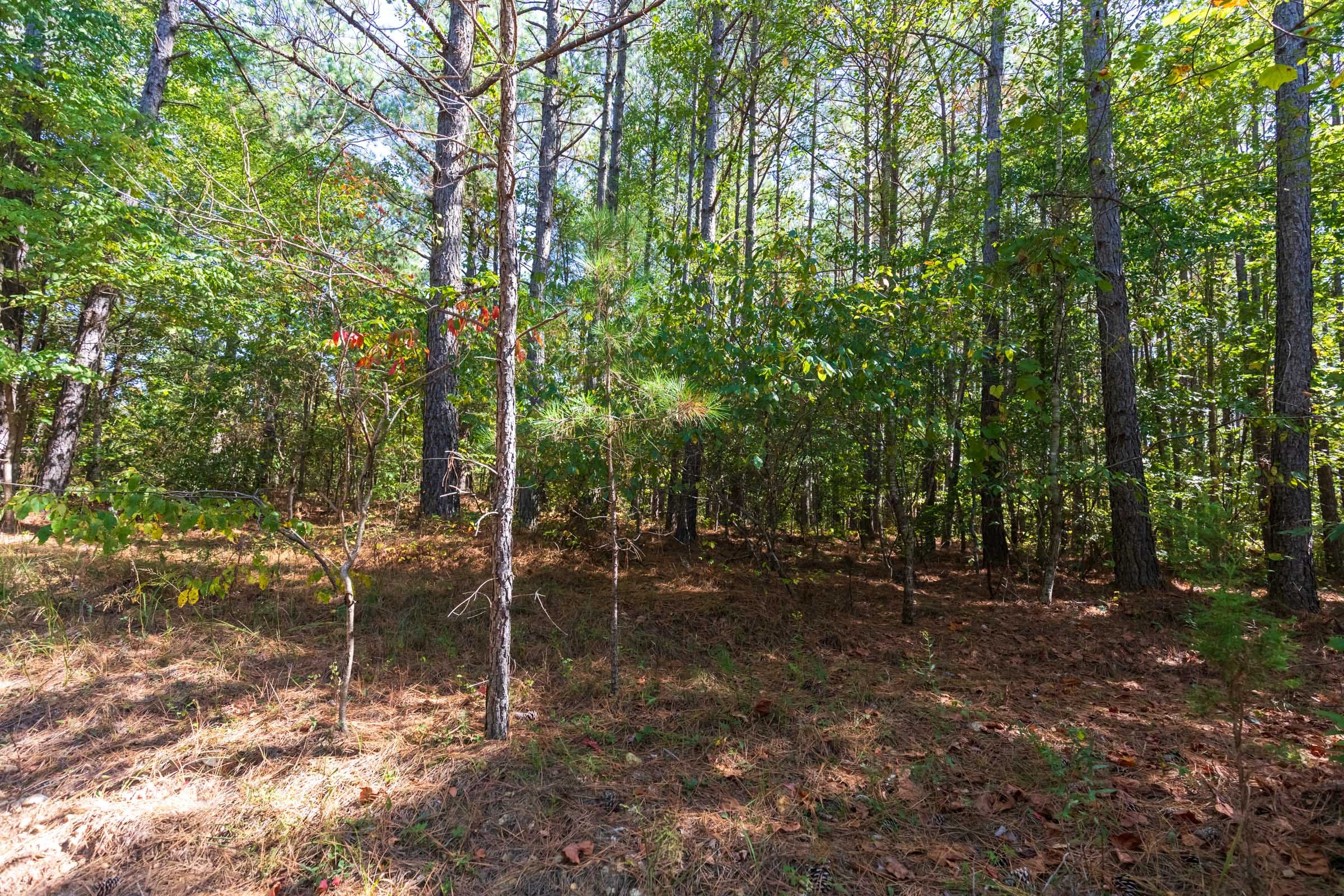 Bear Brook Tract 3 photo 2